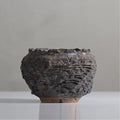 菊地元野 / DANSOU GLOSS ブラック / kg2_db14_s /  約φ9.5cm / 植木鉢