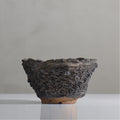 菊地元野 / DANSOU GLOSS ブラック / kg2_db16_m /  約φ14cm / 植木鉢
