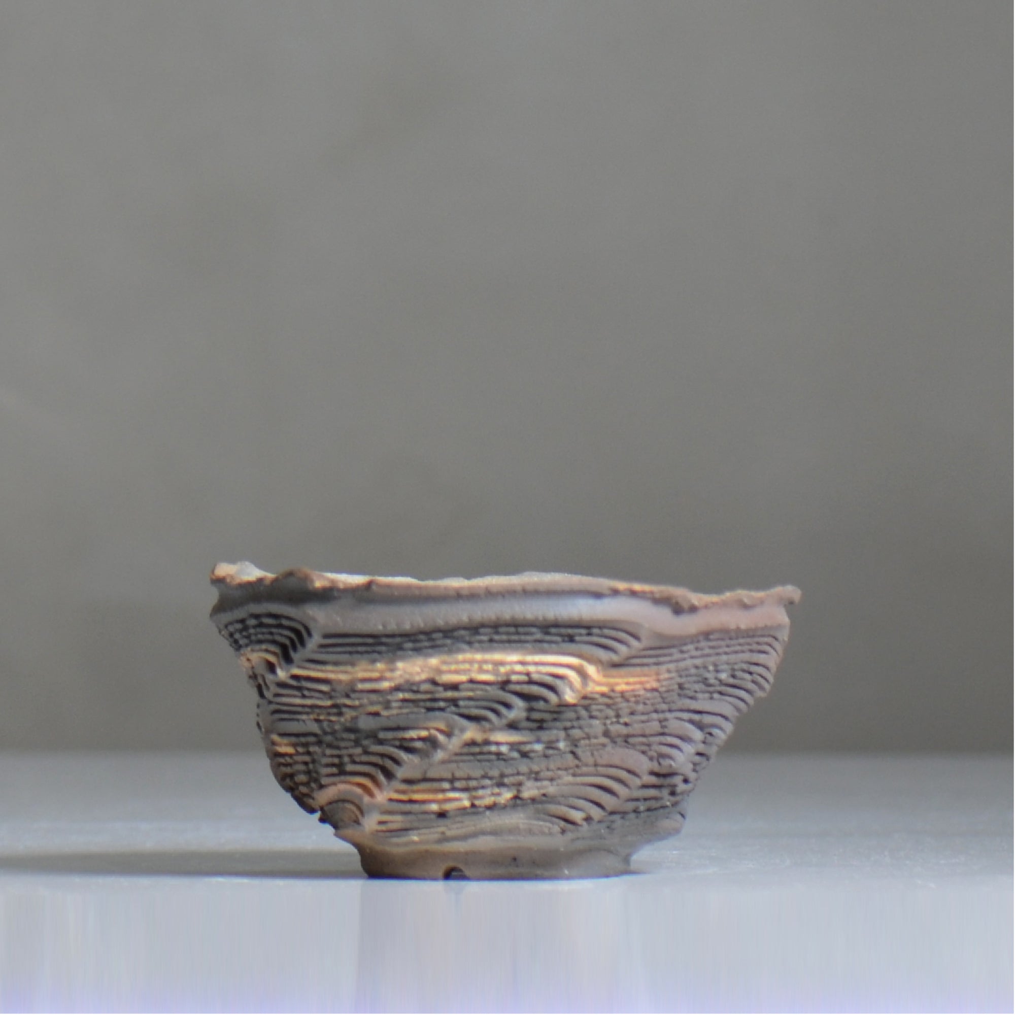 菊地元野 / CHISOU / kg2_dc09_s /  約φ11.5cm / 植木鉢