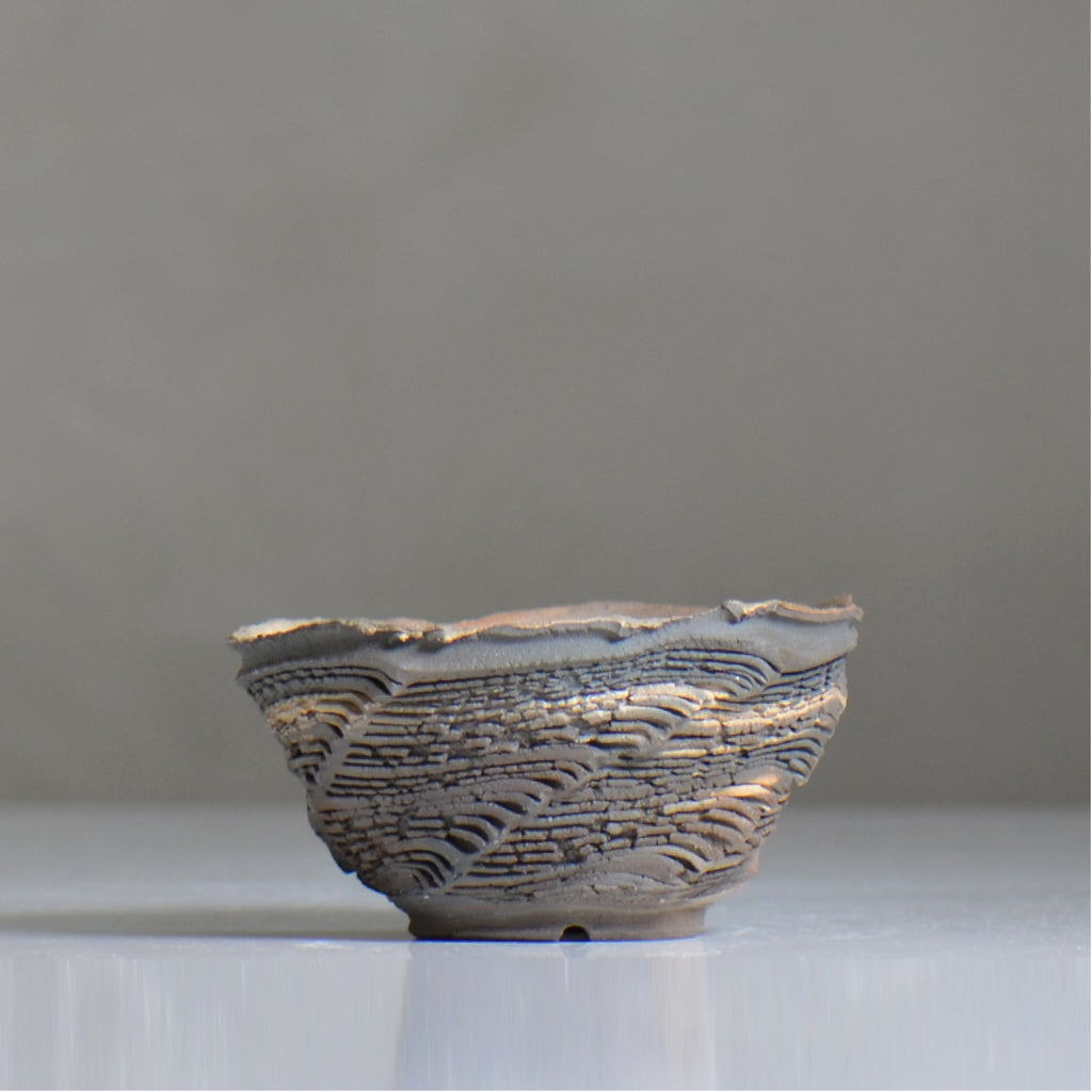 菊地元野 / CHISOU / kg2_dc09_s /  約φ11.5cm / 植木鉢