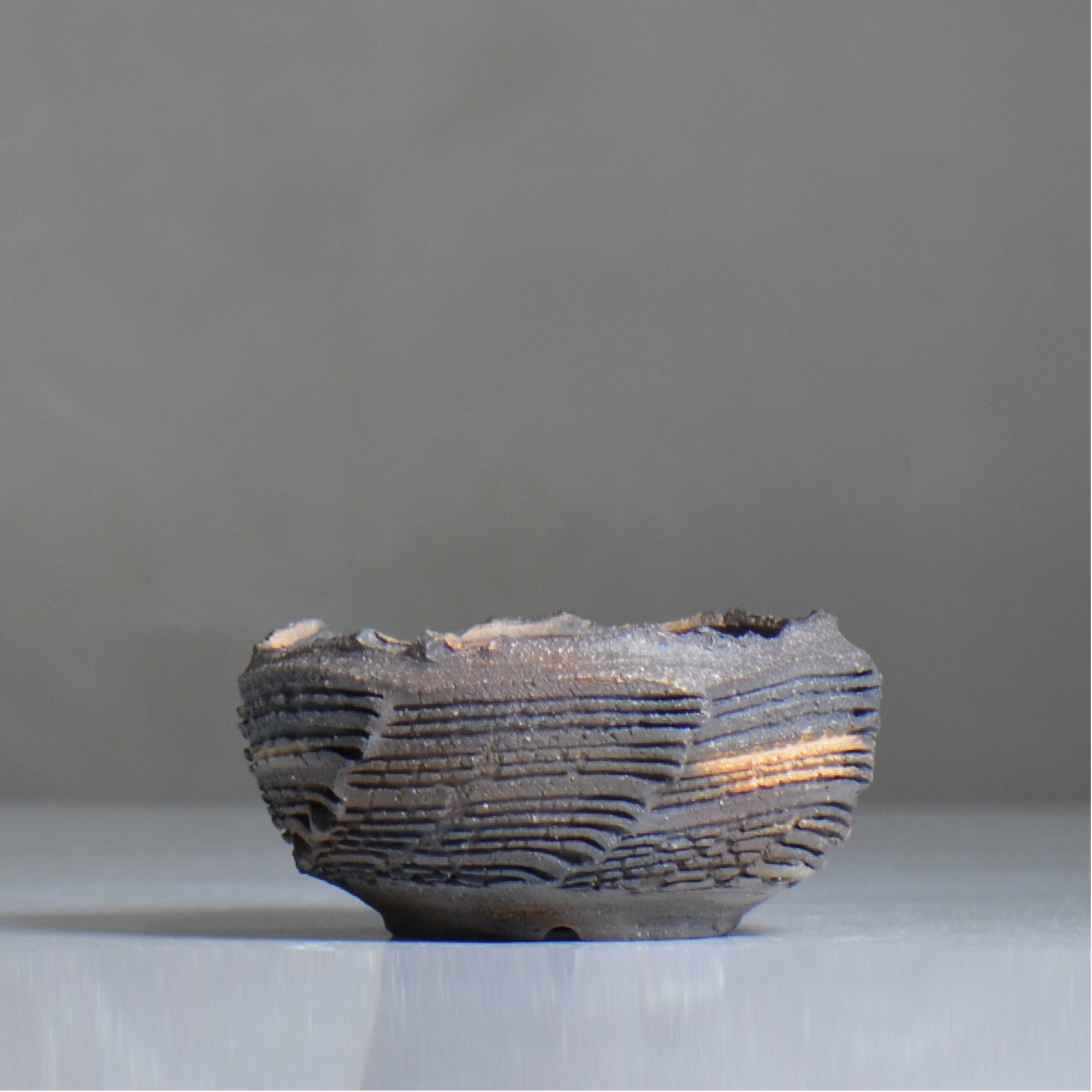 菊地元野 / CHISOU / kg2_dc10_s /  約φ10cm / 植木鉢