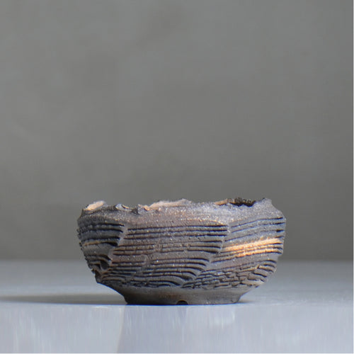 菊地元野 / CHISOU / kg2_dc10_s /  約φ10cm / 植木鉢