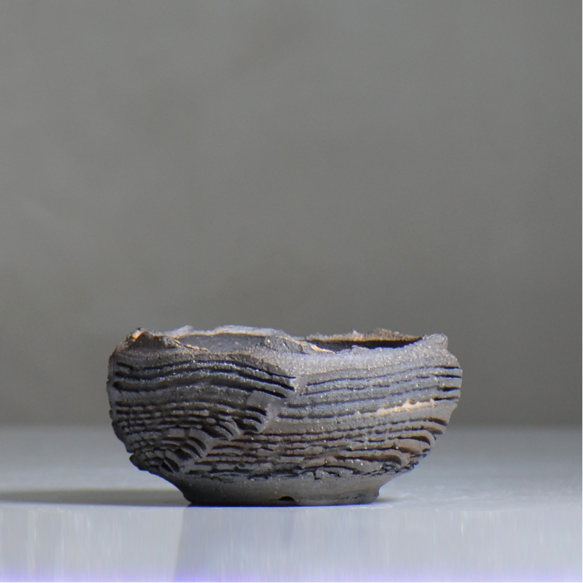 菊地元野 / CHISOU / kg2_dc10_s /  約φ10cm / 植木鉢