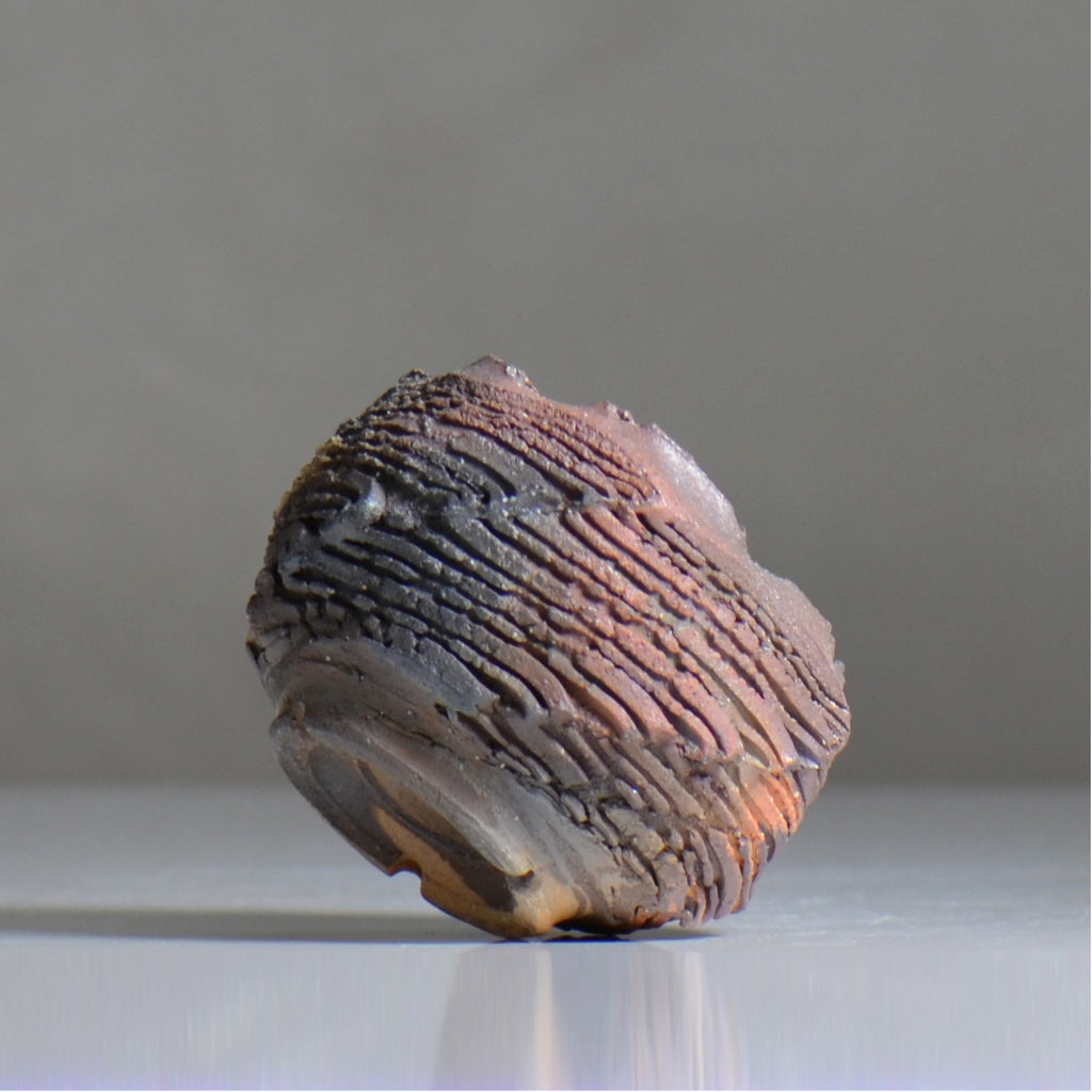 菊地元野 / CHISOU / kg2_dc17_xs /  約φ8.5cm / 植木鉢