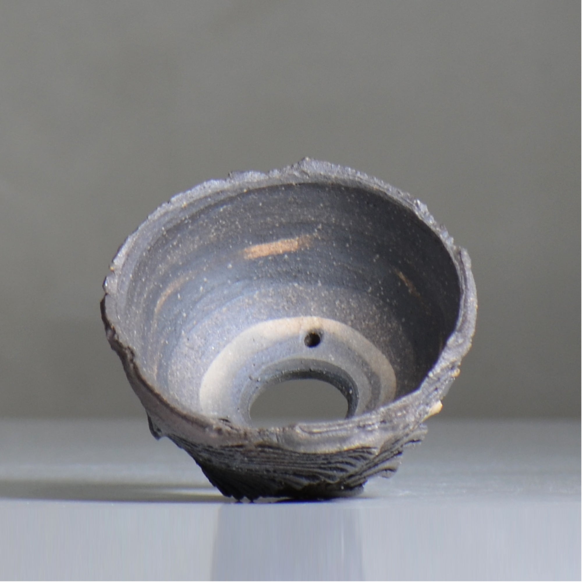 菊地元野 / CHISOU / kg2_dc19_s /  約φ10.5cm / 植木鉢