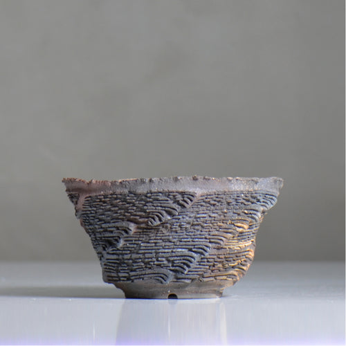 菊地元野 / CHISOU / kg2_dc25_m /  約φ14.5cm / 植木鉢