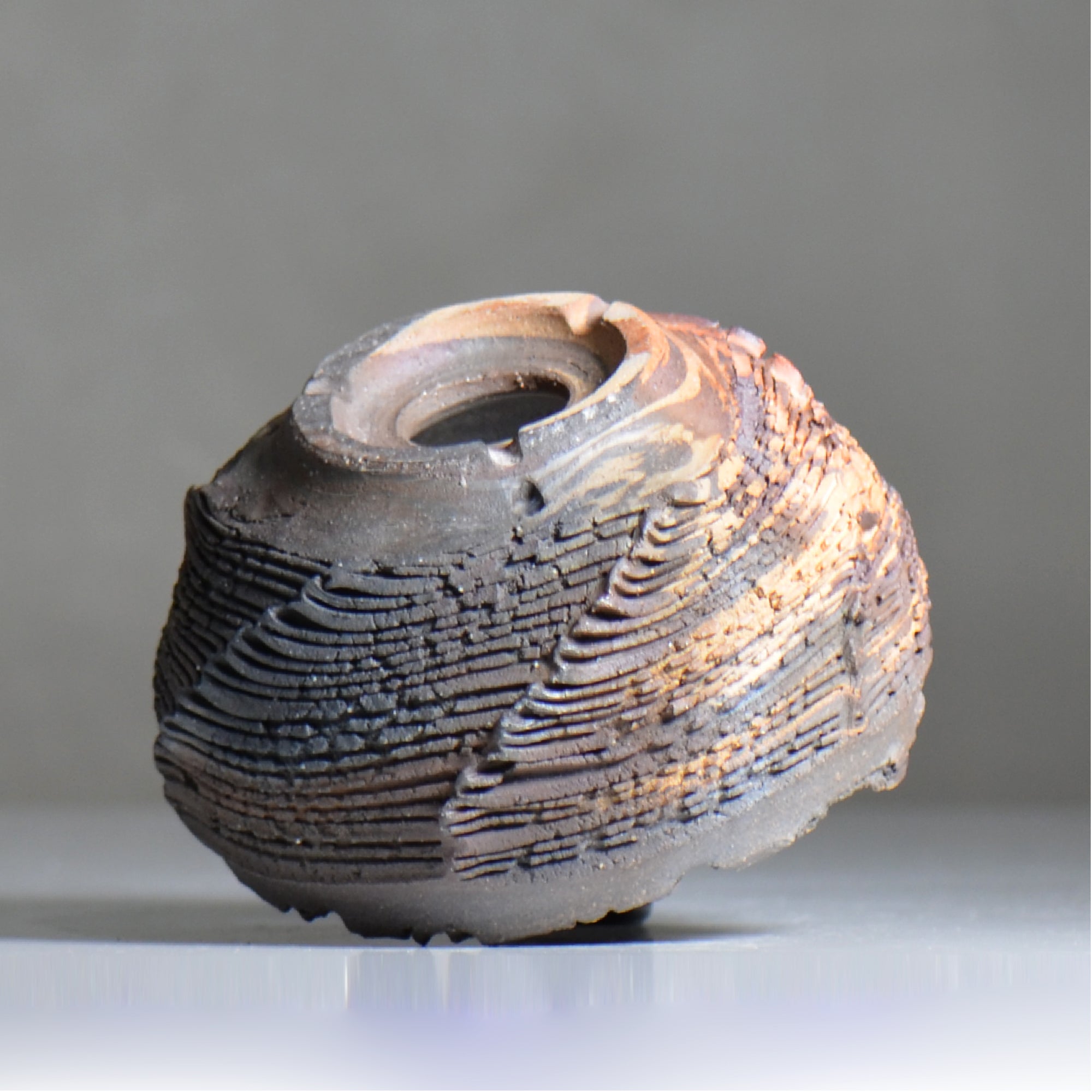 菊地元野 / CHISOU / kg2_dc48_m /  約φ14cm / 植木鉢