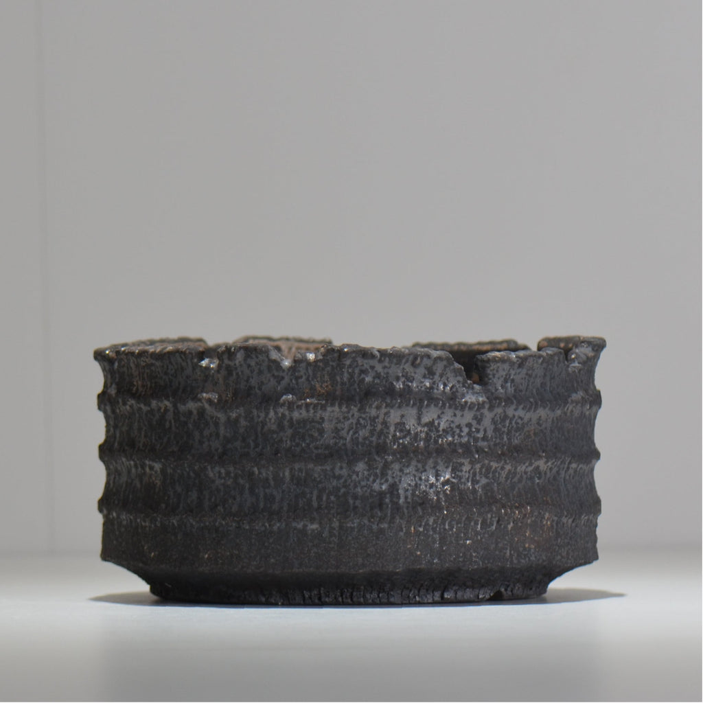 菊地元野 / AVOCADO BORDER ブラック 07 / XL / 約φ19cm / 植木鉢