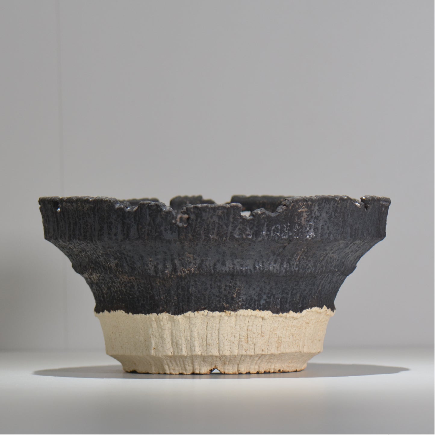 【抽選販売】菊地元野 / AVOCADO BORDER ツートン 03/大鉢