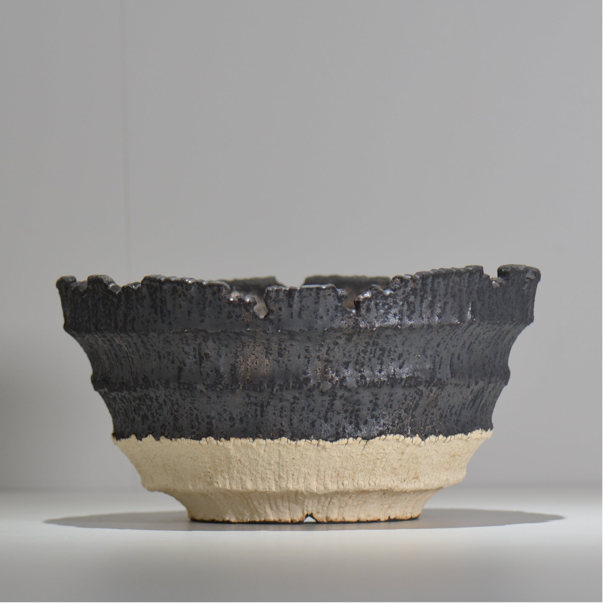 塊根植物・観葉植物の植木鉢専門店 「HACHILABO - ハチラボ- 」