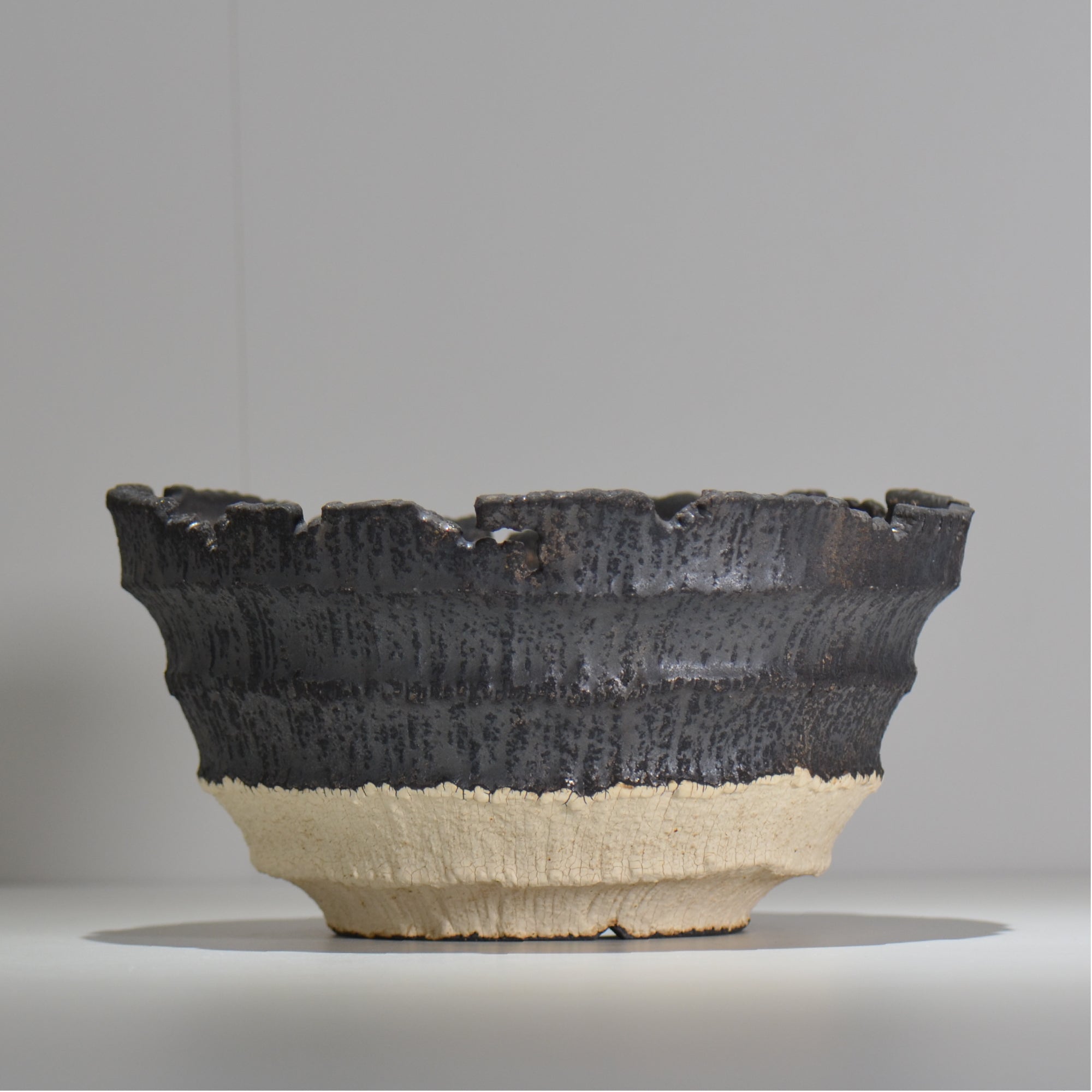 【抽選販売】菊地元野 / AVOCADO BORDER ツートン 04/大鉢