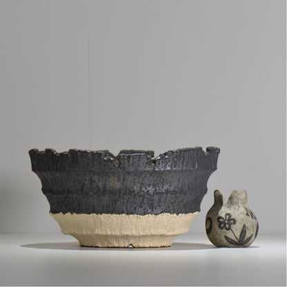 【抽選販売】菊地元野 / AVOCADO BORDER ツートン 04/大鉢