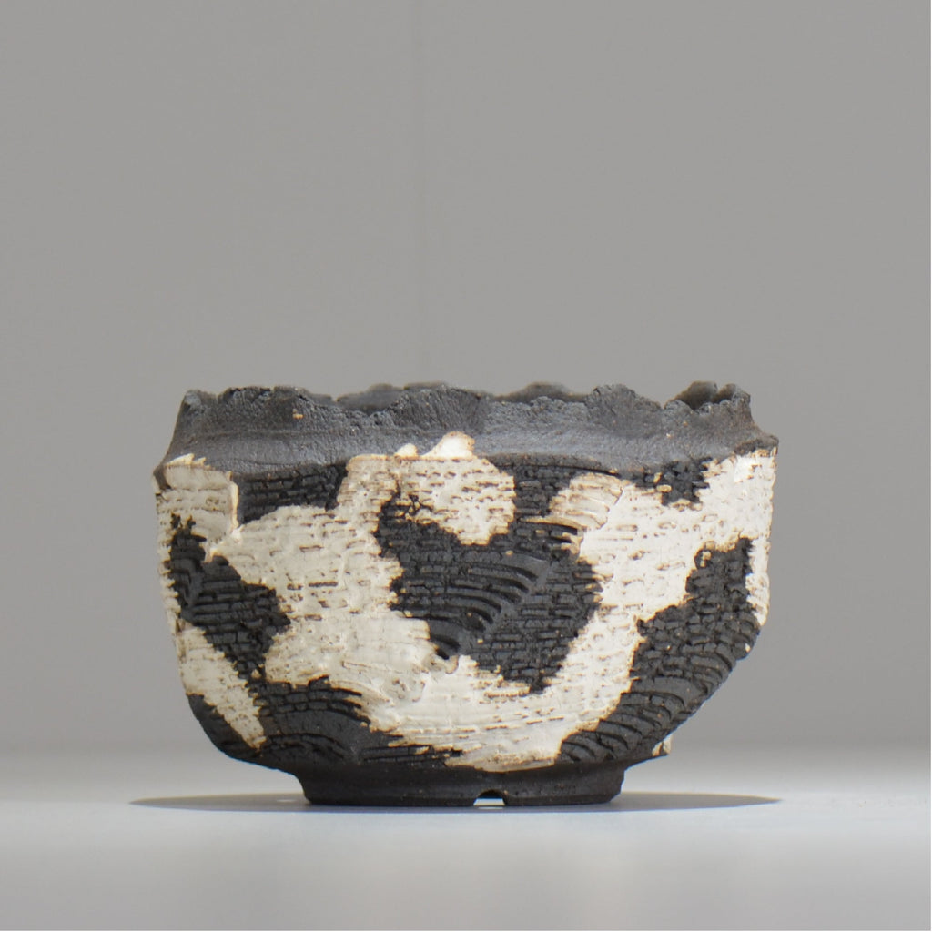 菊地元野 / DANSOU GLOSS ツートン / kg_dt58_m /  約φ13cm / 植木鉢