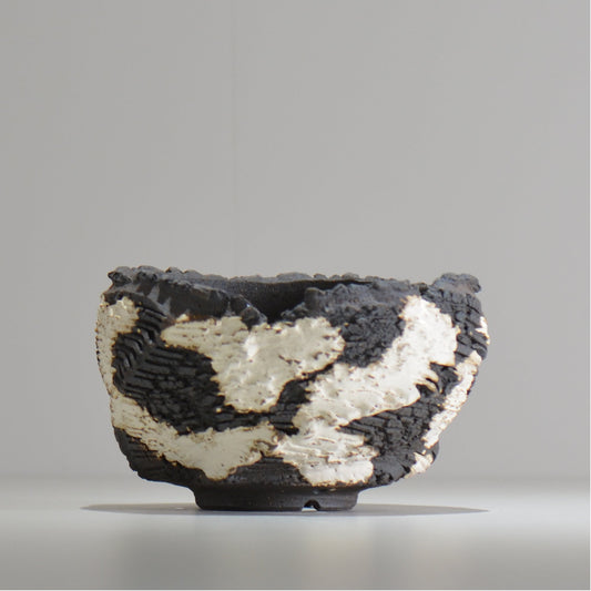 菊地元野 / DANSOU GLOSS ツートン / kg_dt65_m /  約φ15cm / 植木鉢