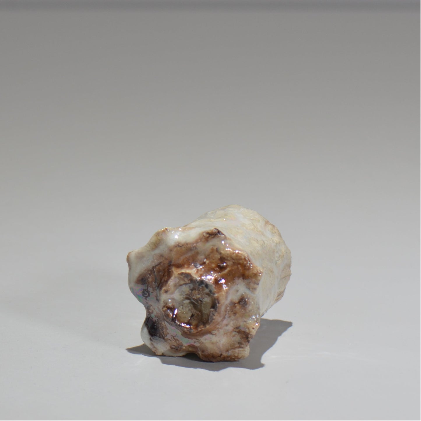 木村 貴史 / 白釉光彩ぐい呑 /kt_01