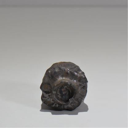 木村 貴史 / 黒錆釉ぐい呑 /kt_03