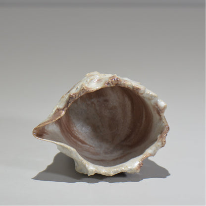 木村 貴史 / 白釉光彩片口酒器 /kt_08