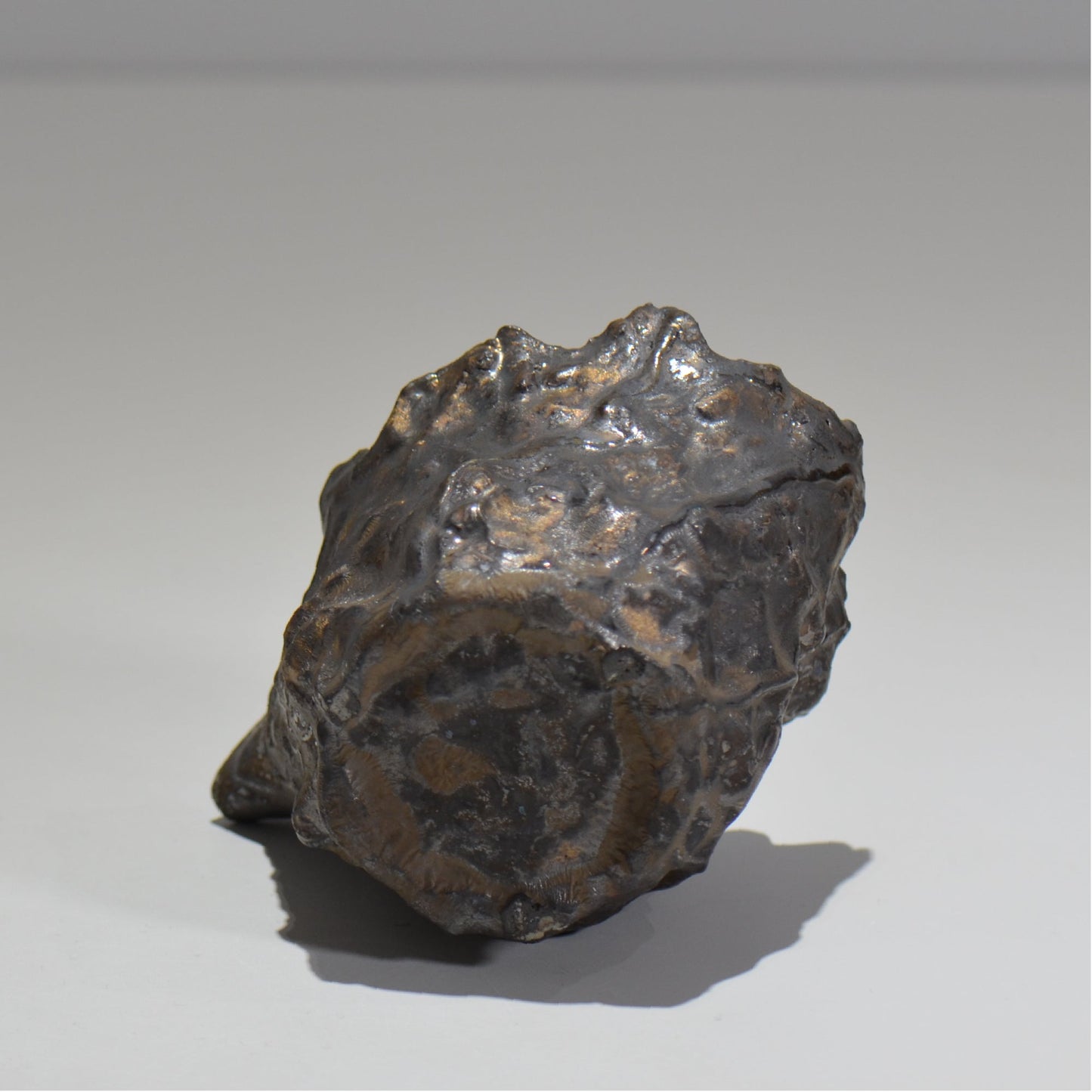 木村 貴史 / 黒錆釉片口酒器 /kt_10