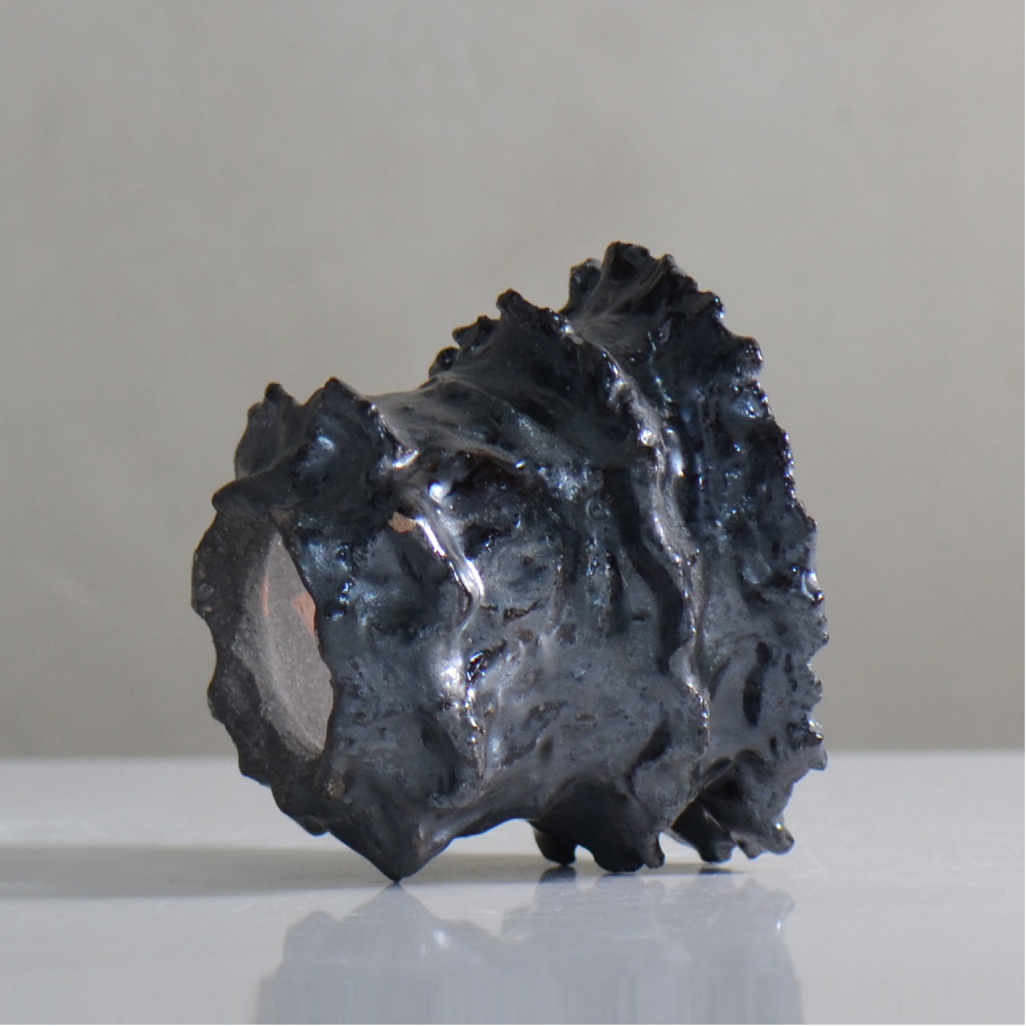 木村 貴史 / KOKUYU/ kt2_ky02_s / 約 φ11.5cm / 植木鉢
