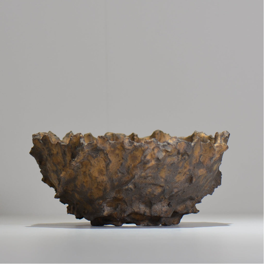 木村 貴史 / BRONZE/  kt_br01_xl /  約 φ21cm /  植木鉢