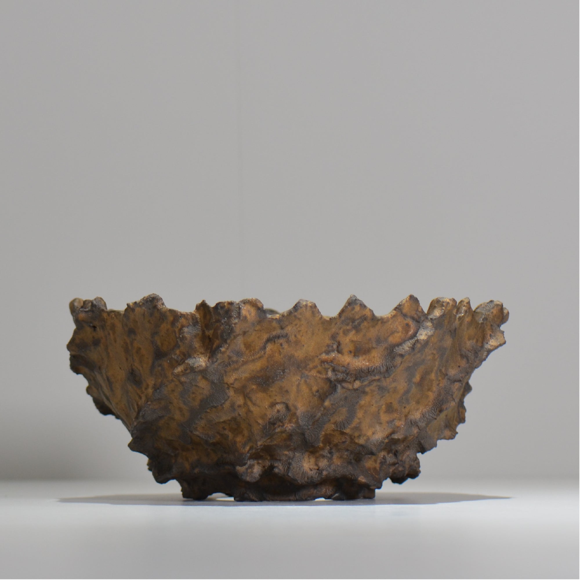 木村 貴史 / BRONZE/  kt_br01_xl /  約 φ21cm /  植木鉢