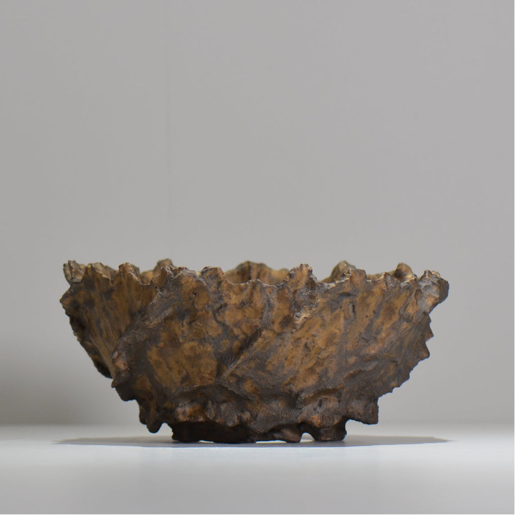 木村 貴史 / BRONZE/  kt_br01_xl /  約 φ21cm /  植木鉢