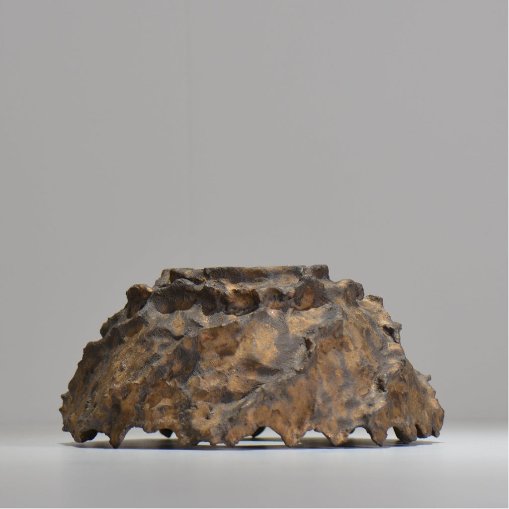 木村 貴史 / BRONZE/  kt_br01_xl /  約 φ21cm /  植木鉢