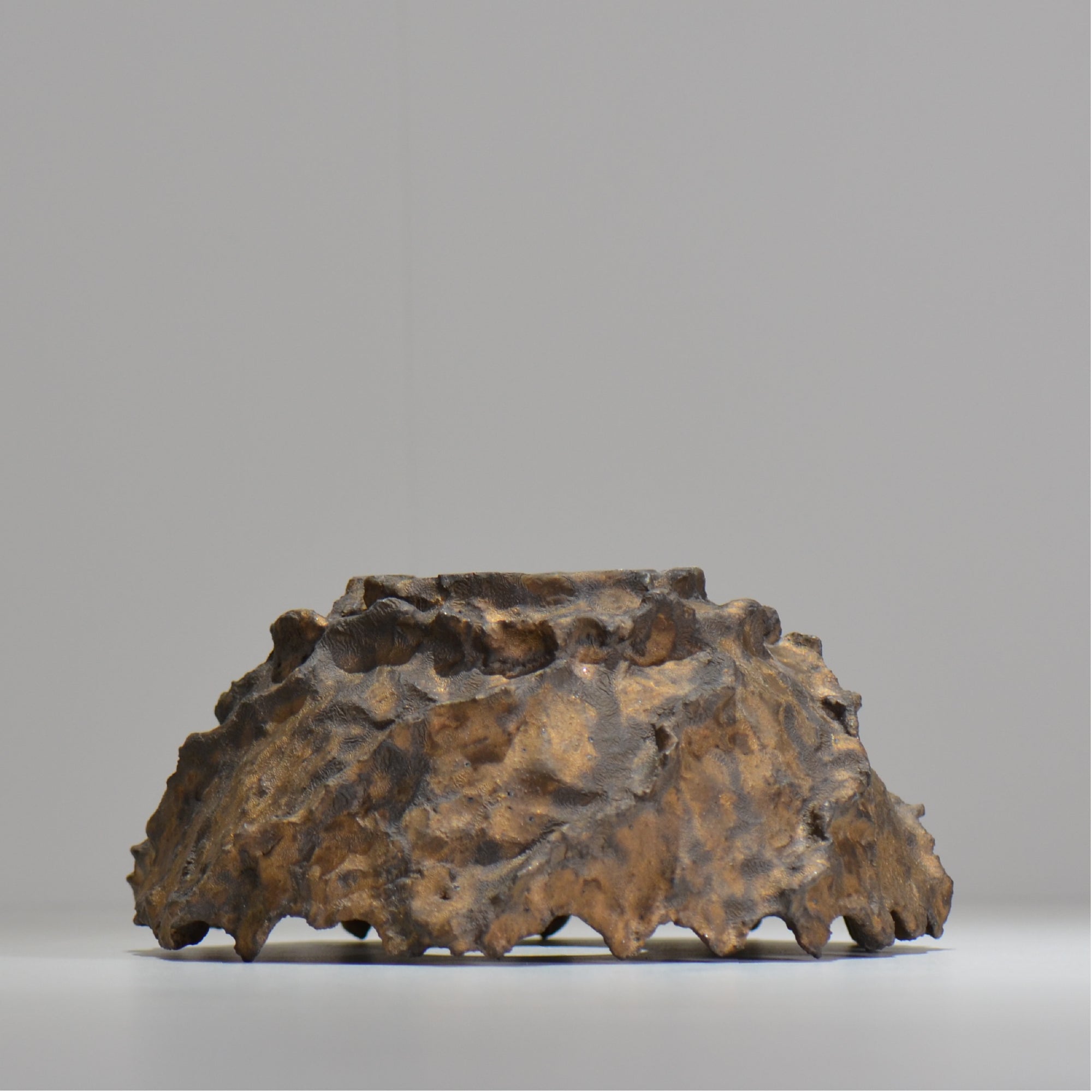 木村 貴史 / BRONZE/  kt_br01_xl /  約 φ21cm /  植木鉢