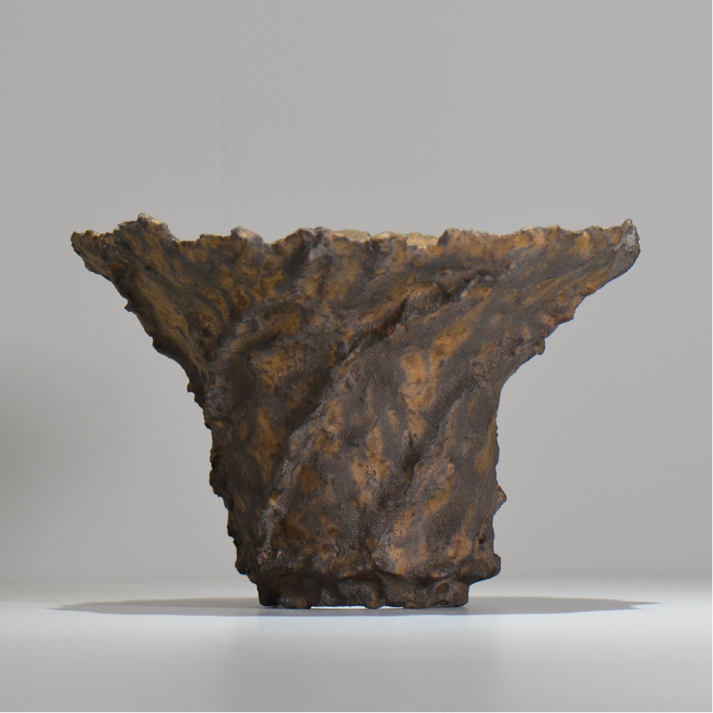 19.木村 貴史 / DEISAI bronze /  bronze_04_big  / 大鉢 /  約 φ22.5cm / 植木鉢