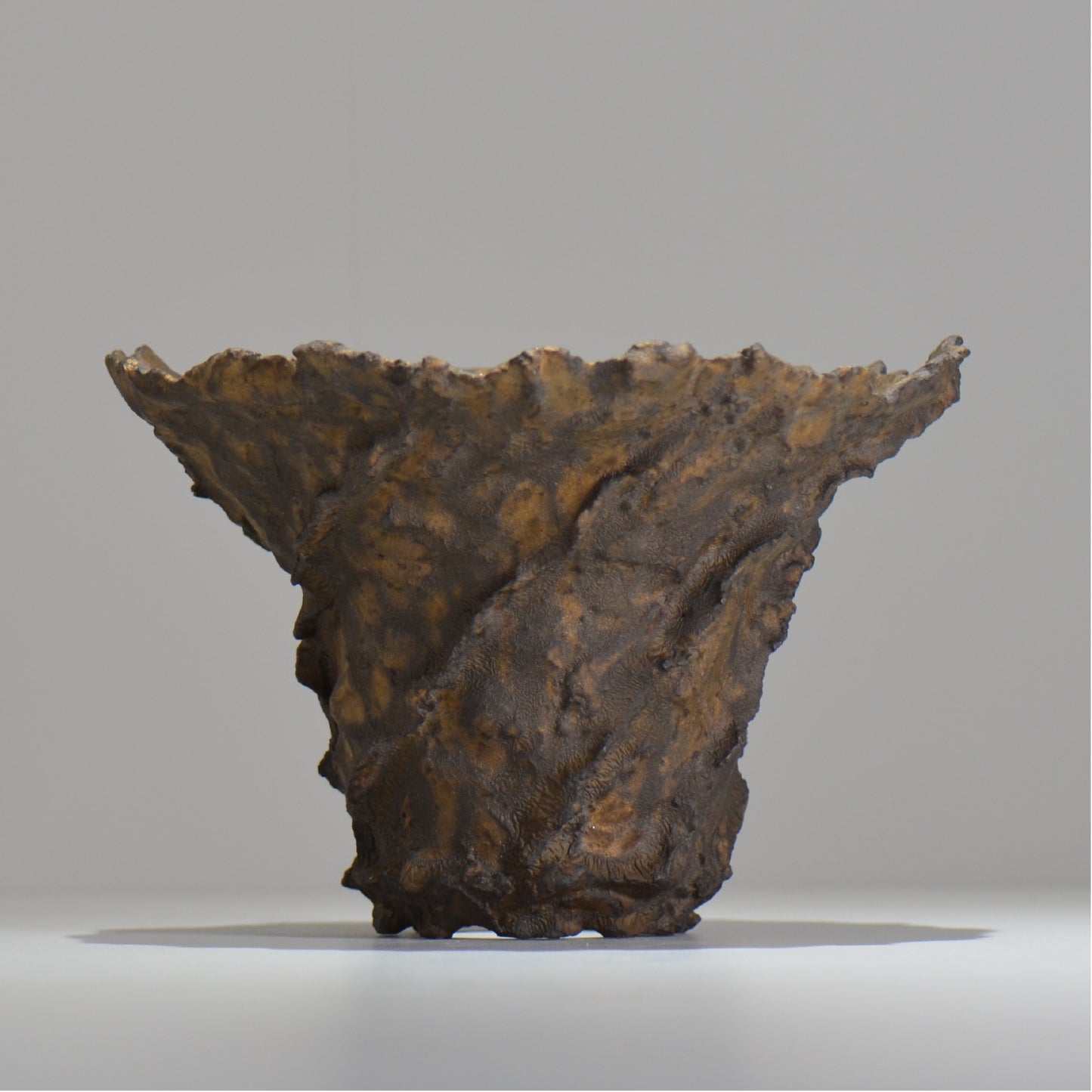 19.木村 貴史 / DEISAI bronze /  bronze_04_big  / 大鉢 /  約 φ22.5cm / 植木鉢