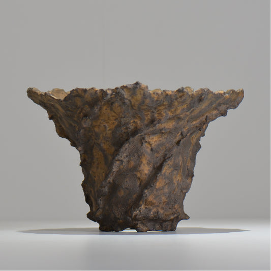 19.木村 貴史 / DEISAI bronze /  bronze_04_big  / 大鉢 /  約 φ22.5cm / 植木鉢