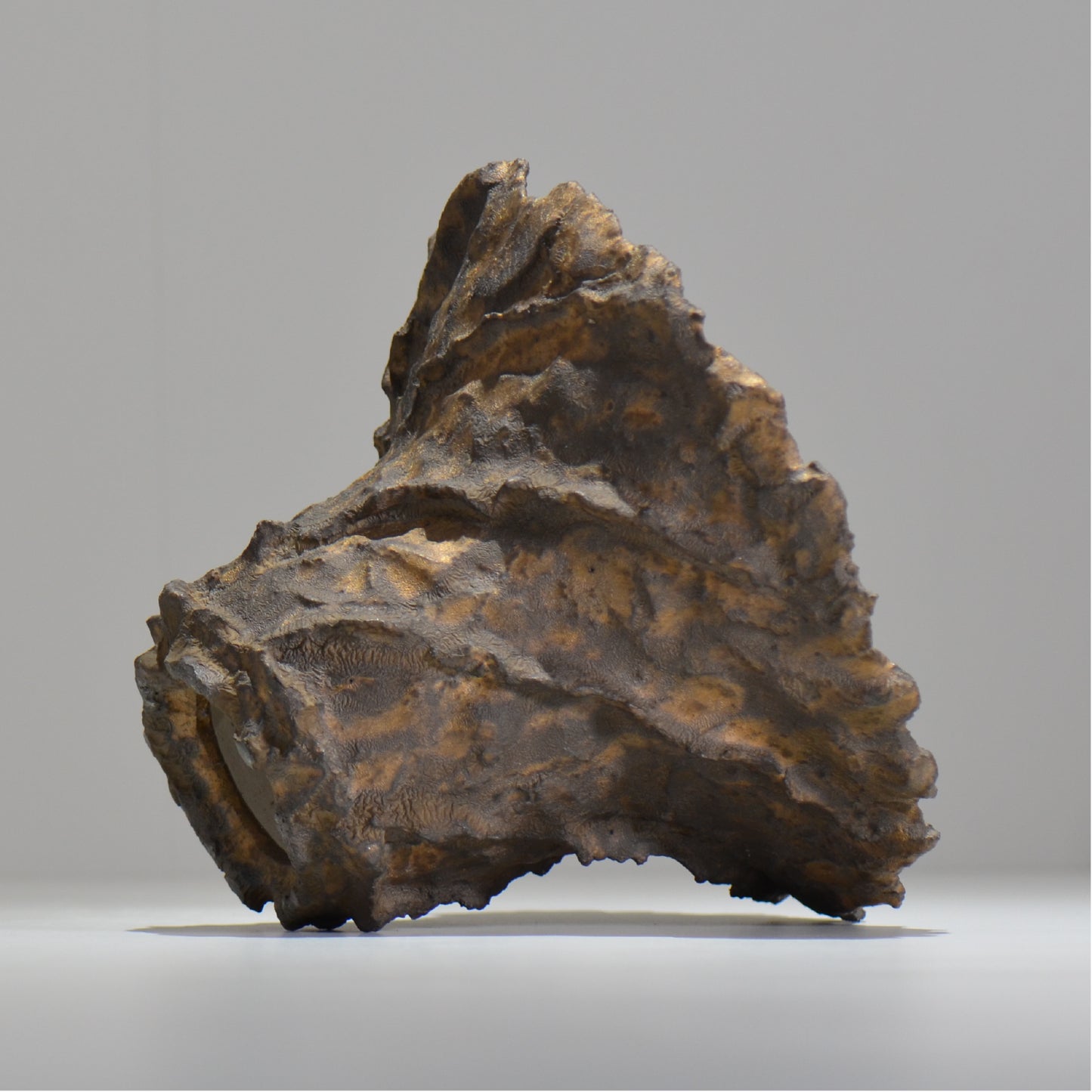 19.木村 貴史 / DEISAI bronze /  bronze_04_big  / 大鉢 /  約 φ22.5cm / 植木鉢