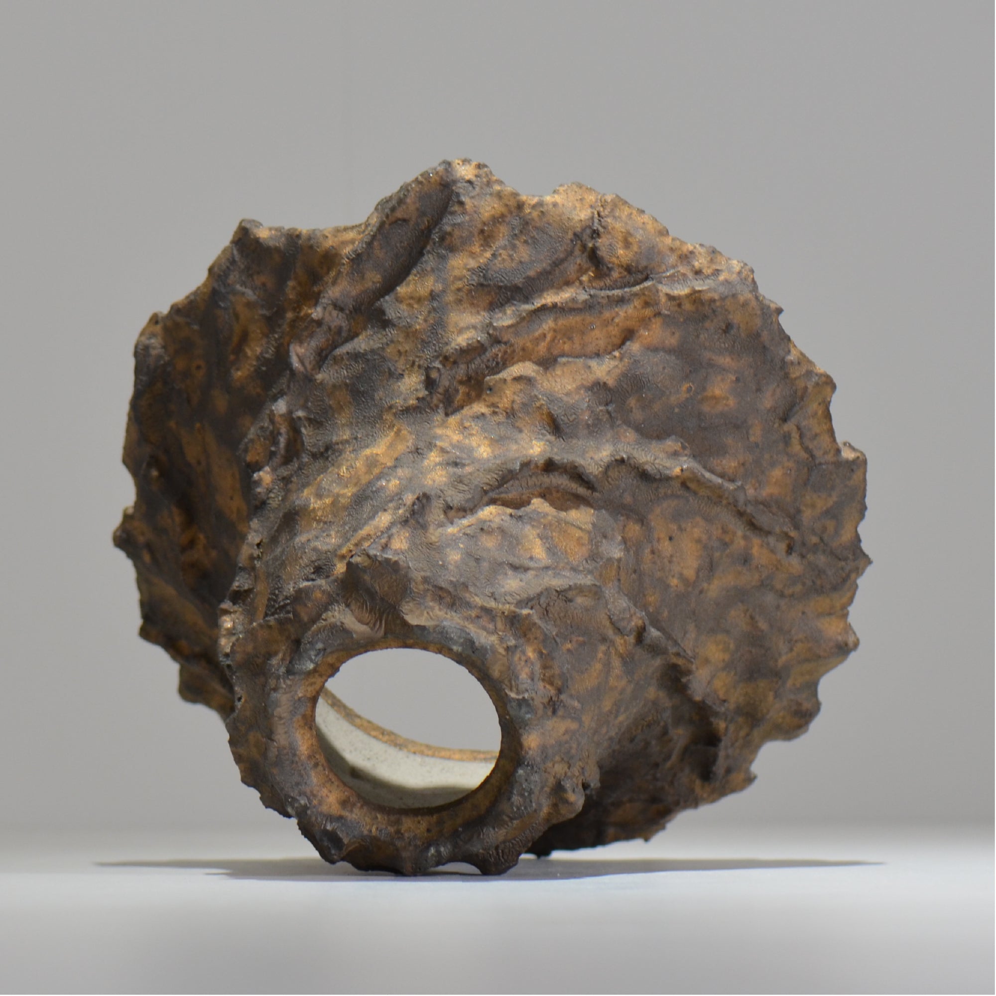 19.木村 貴史 / DEISAI bronze /  bronze_04_big  / 大鉢 /  約 φ22.5cm / 植木鉢