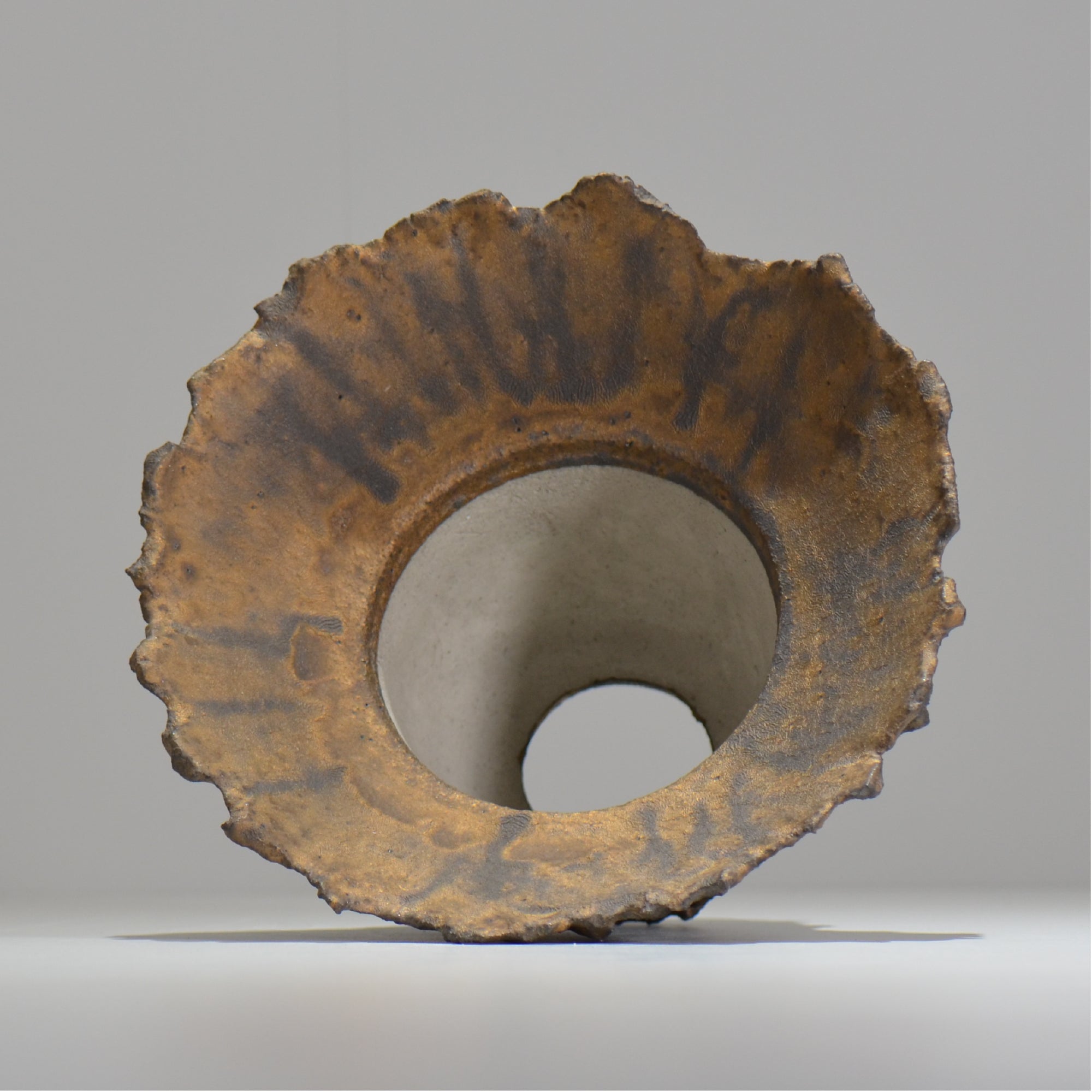 19.木村 貴史 / DEISAI bronze /  bronze_04_big  / 大鉢 /  約 φ22.5cm / 植木鉢