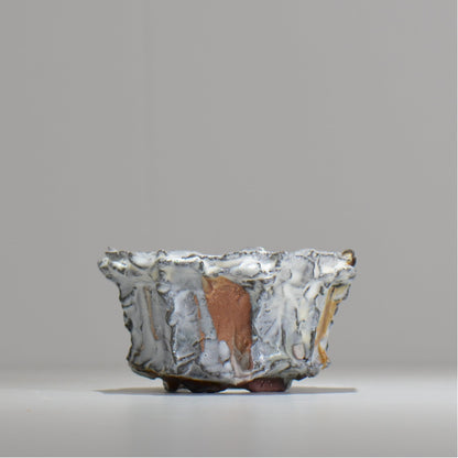 木村 貴史 / SHIOSAI / kt_ss02_m /  約 φ12.5cm /  植木鉢