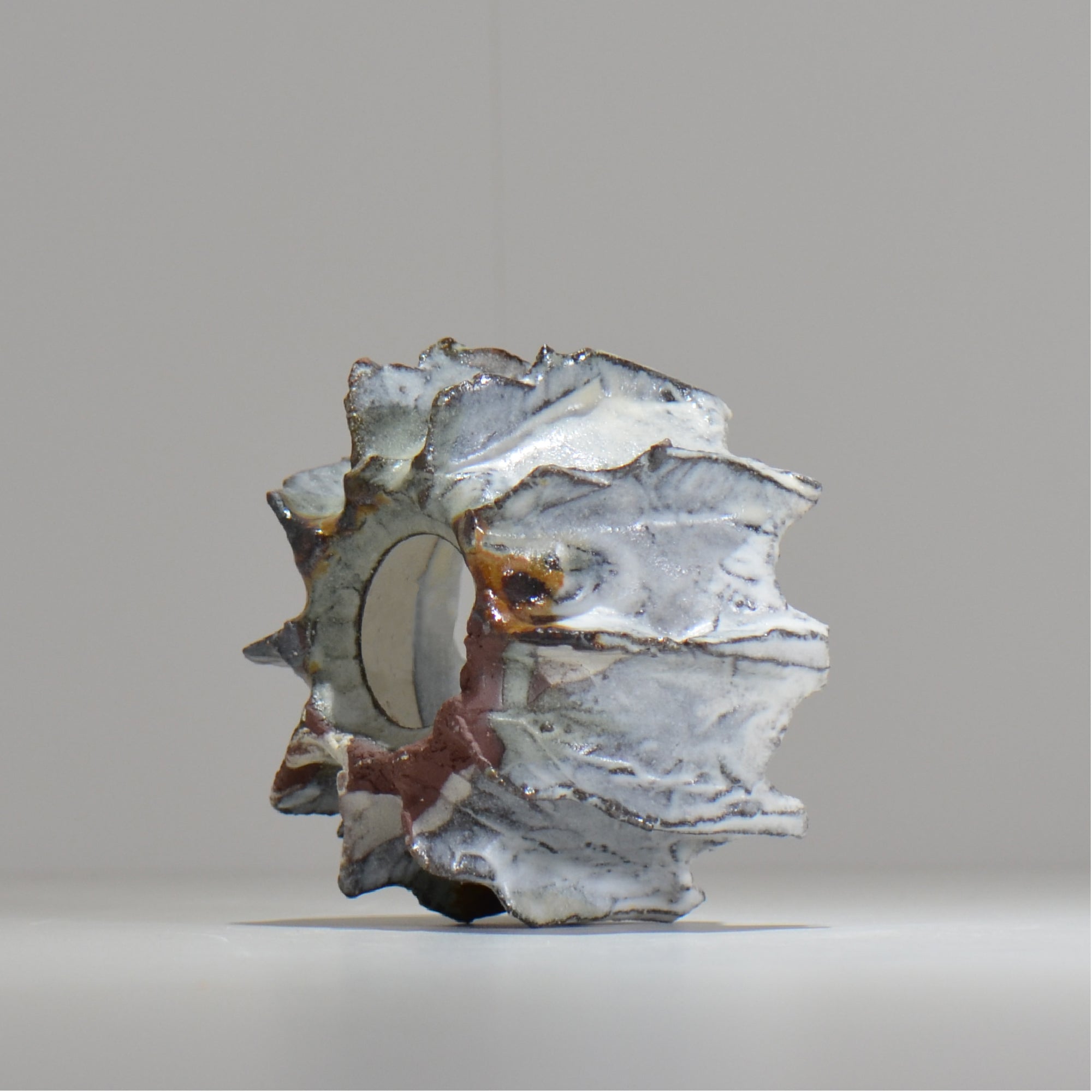 木村 貴史 / SHIOSAI / kt_ss04_m /  約 φ11cm /  植木鉢