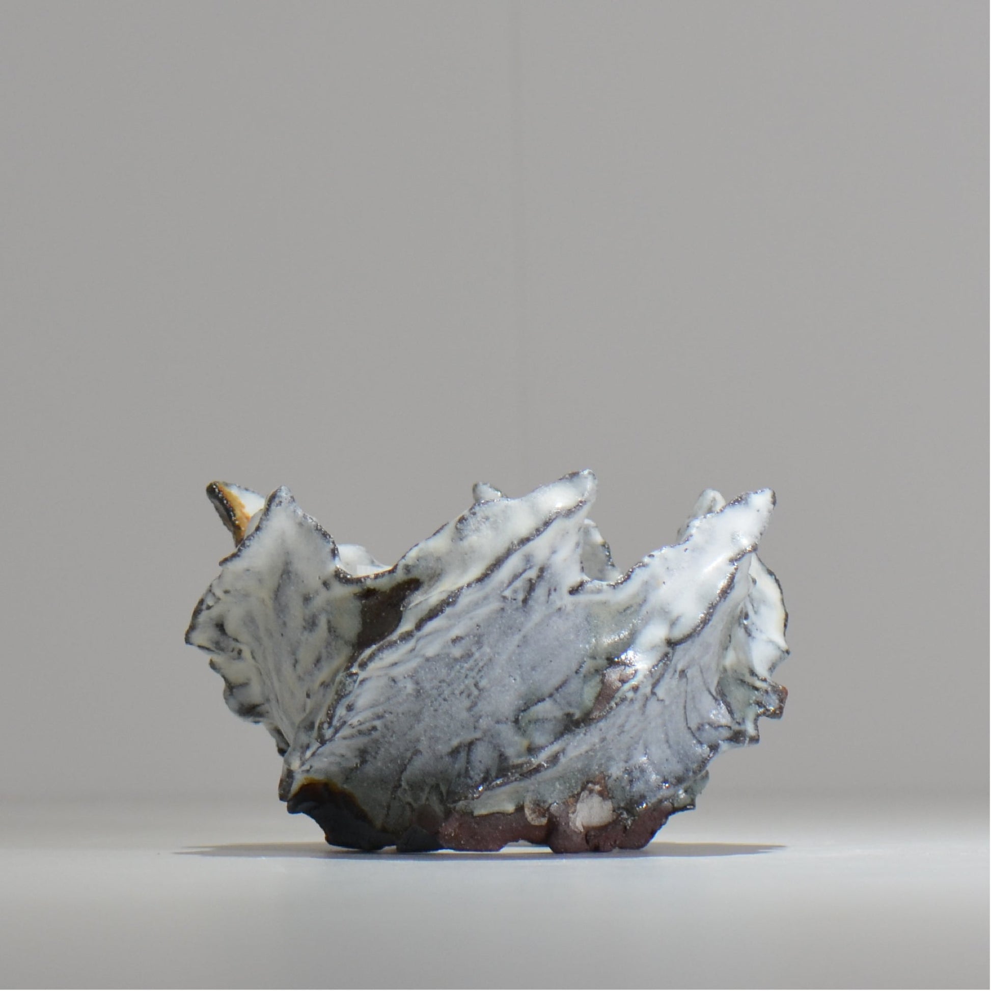 木村 貴史 / SHIOSAI / kt_ss06_s /  約 φ10cm /  植木鉢