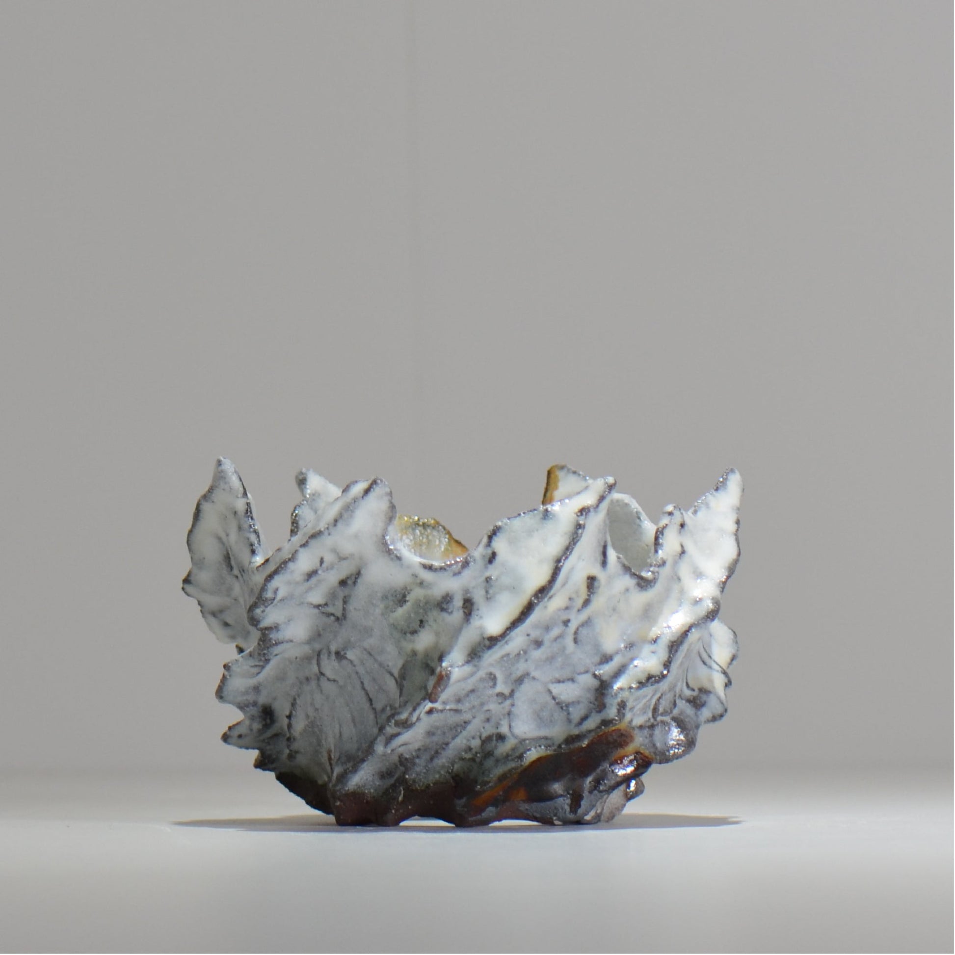 木村 貴史 / SHIOSAI / kt_ss06_s /  約 φ10cm /  植木鉢