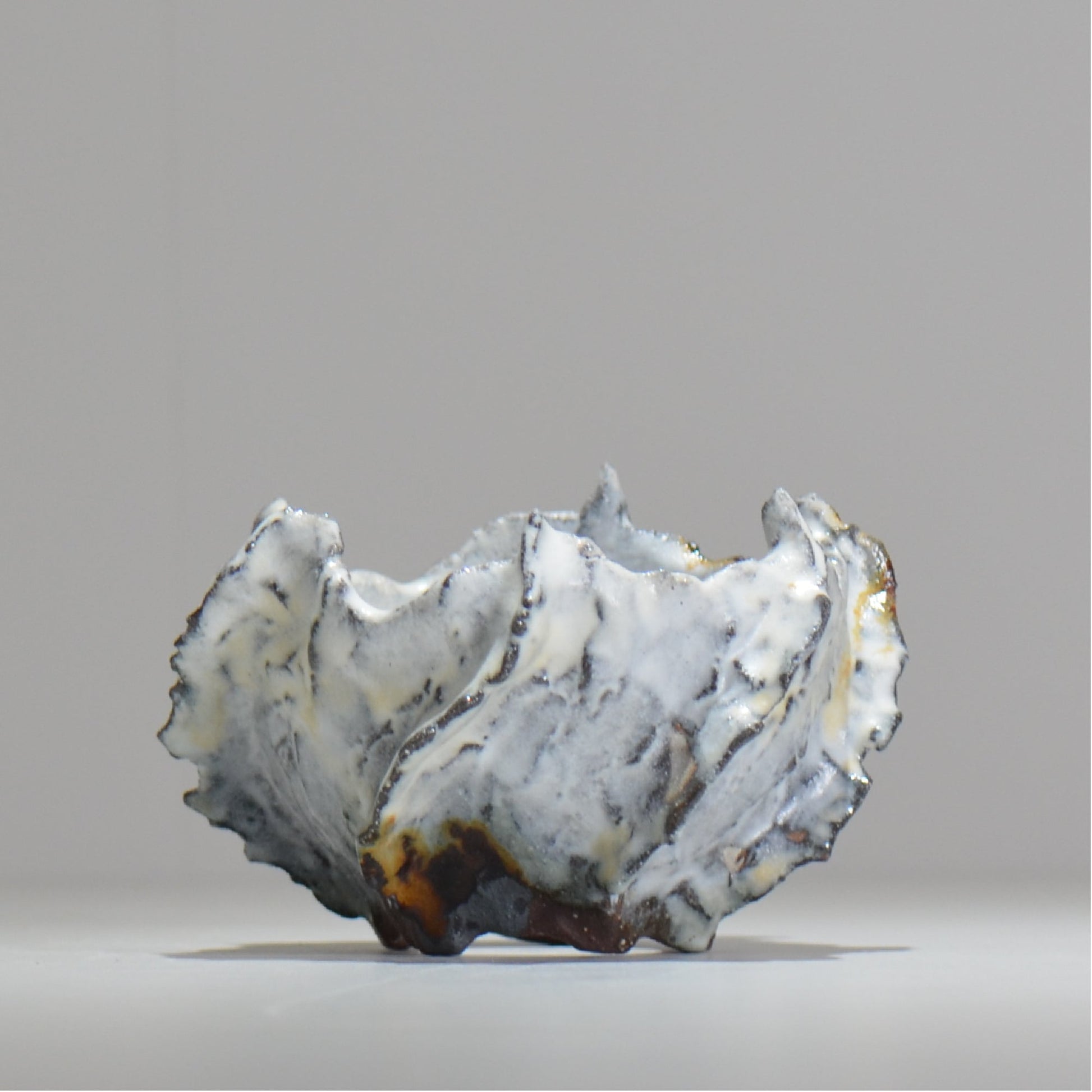 木村 貴史 / SHIOSAI / kt_ss07_s /  約 φ10cm /  植木鉢