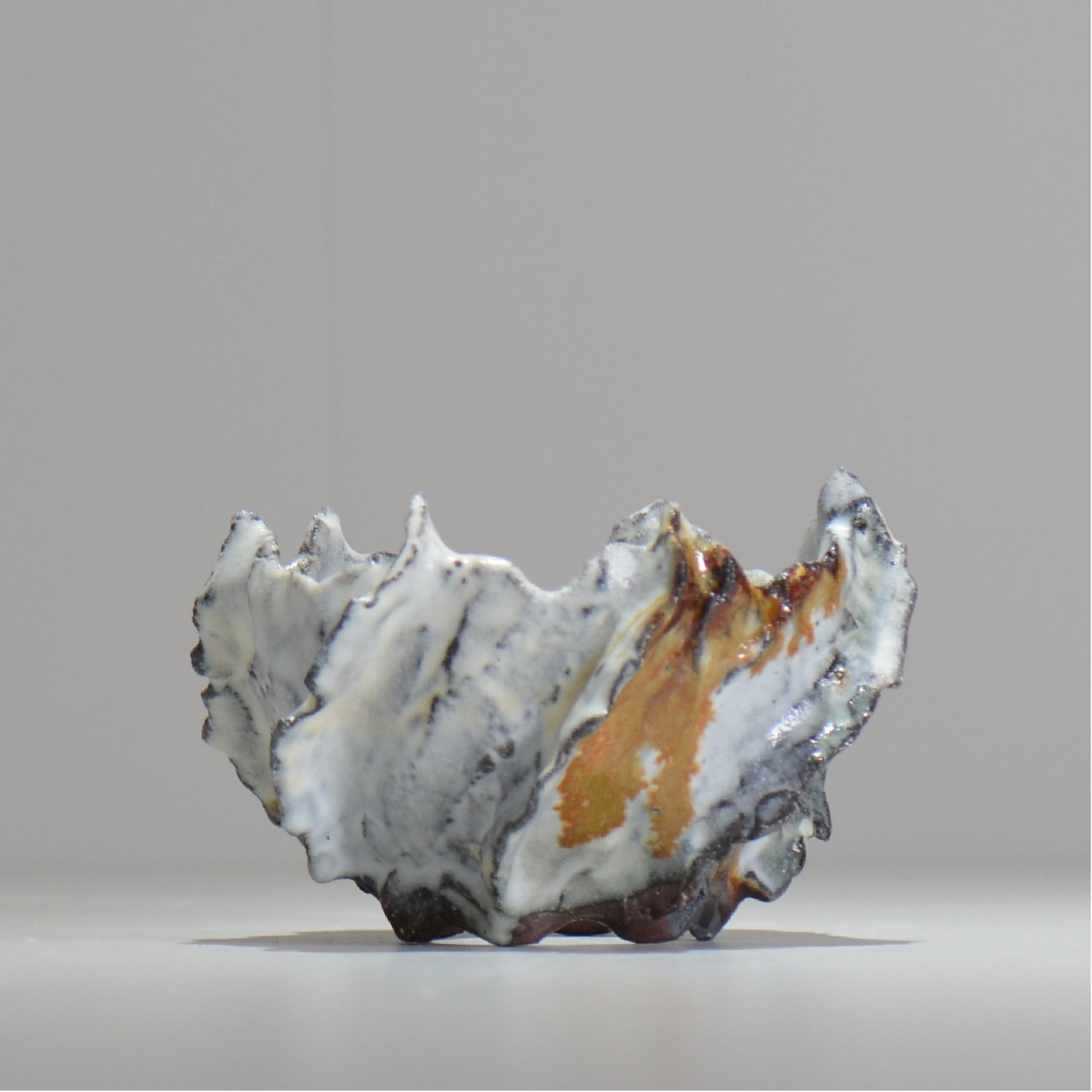 木村 貴史 / SHIOSAI / kt_ss07_s /  約 φ10cm /  植木鉢