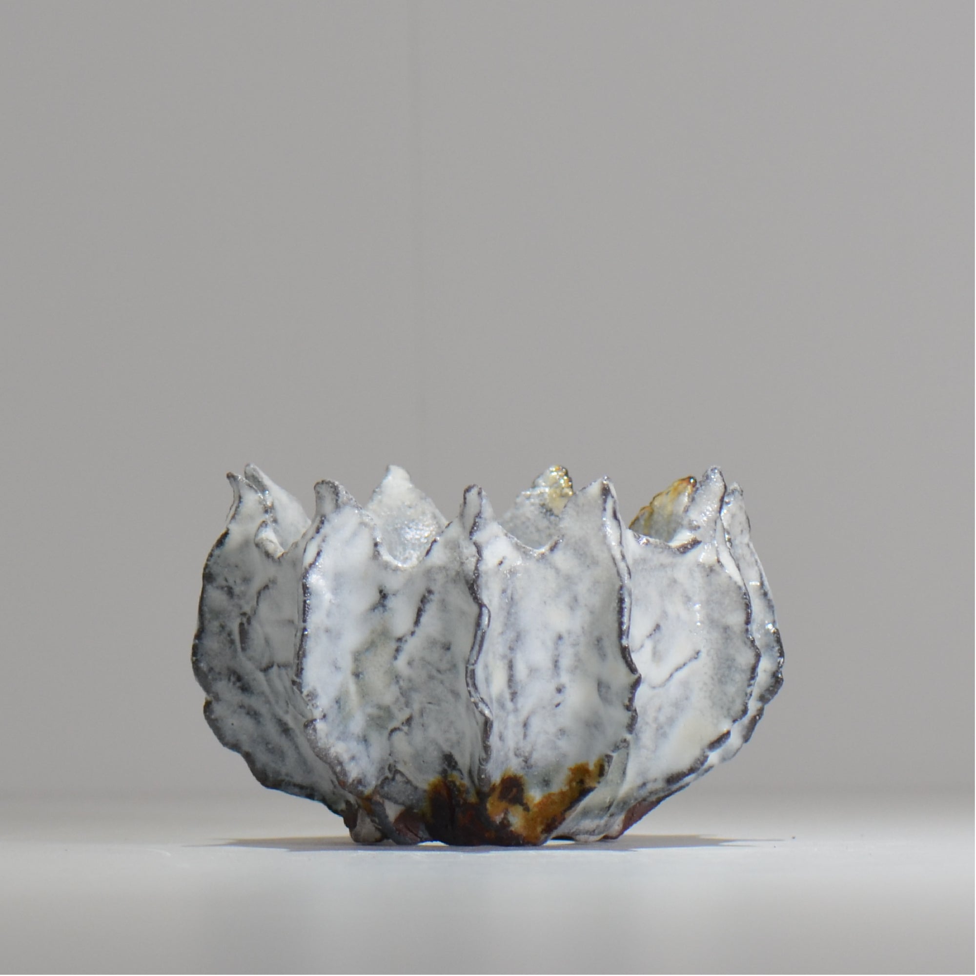 木村 貴史 / SHIOSAI / kt_ss08_s /  約 φ10cm /  植木鉢