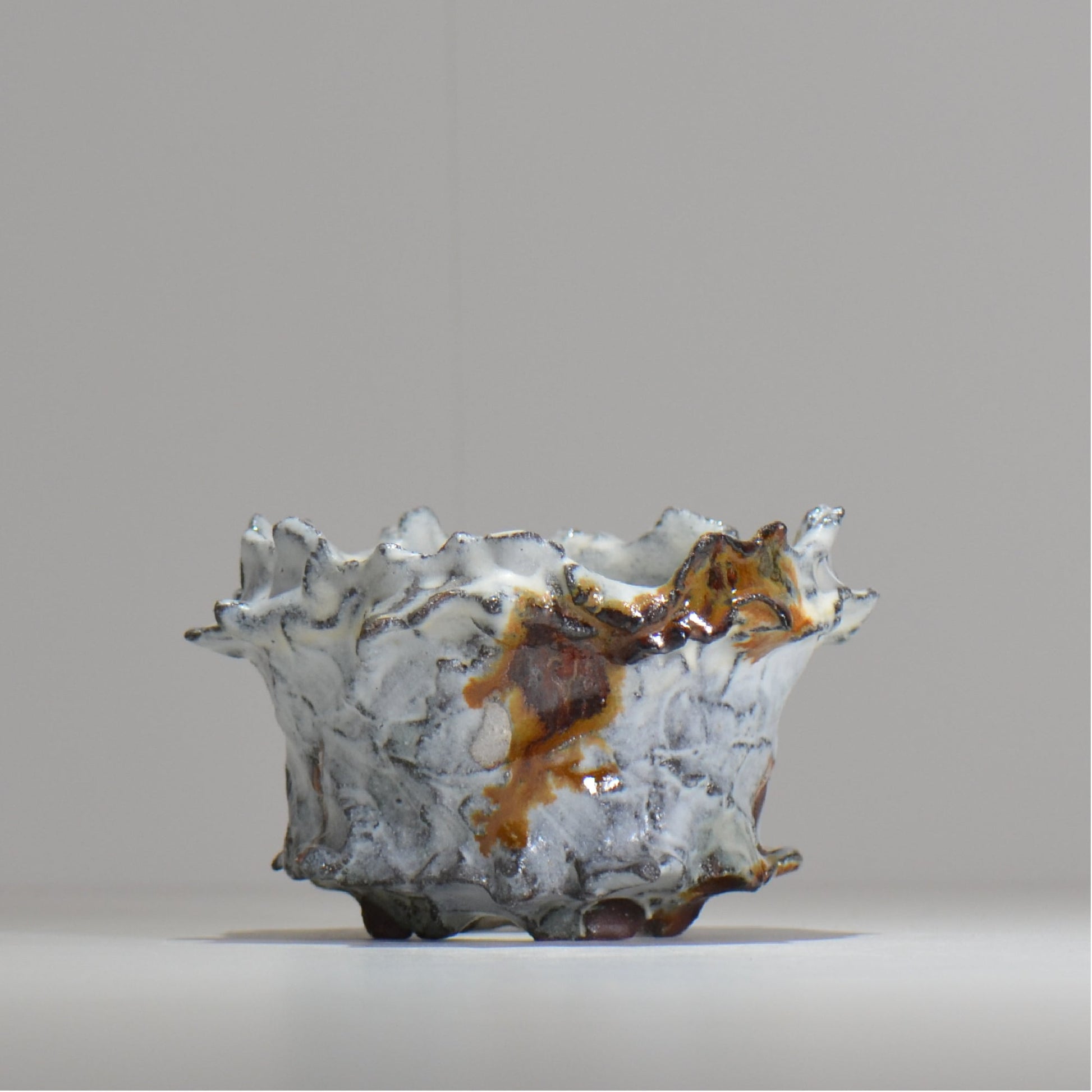 木村 貴史 / SHIOSAI / kt_ss09_s /  約 φ10.5cm /  植木鉢