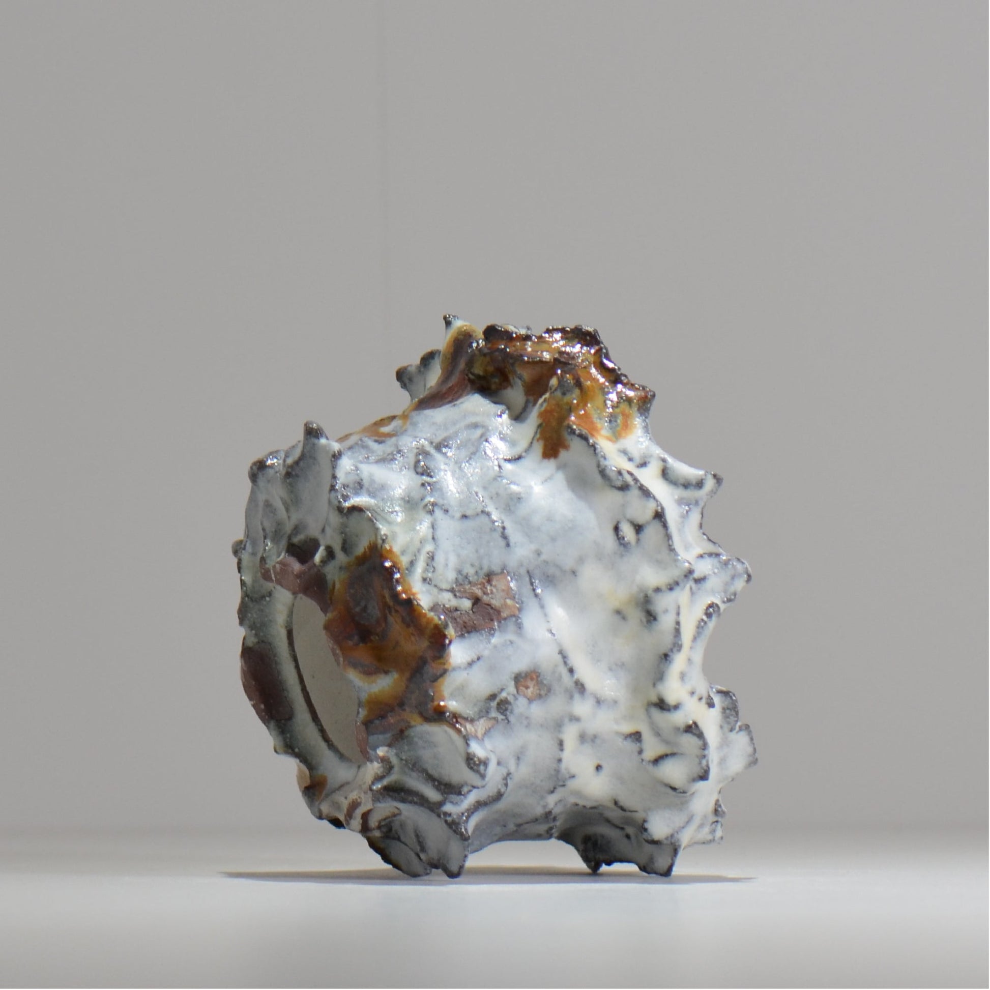木村 貴史 / SHIOSAI / kt_ss09_s /  約 φ10.5cm /  植木鉢