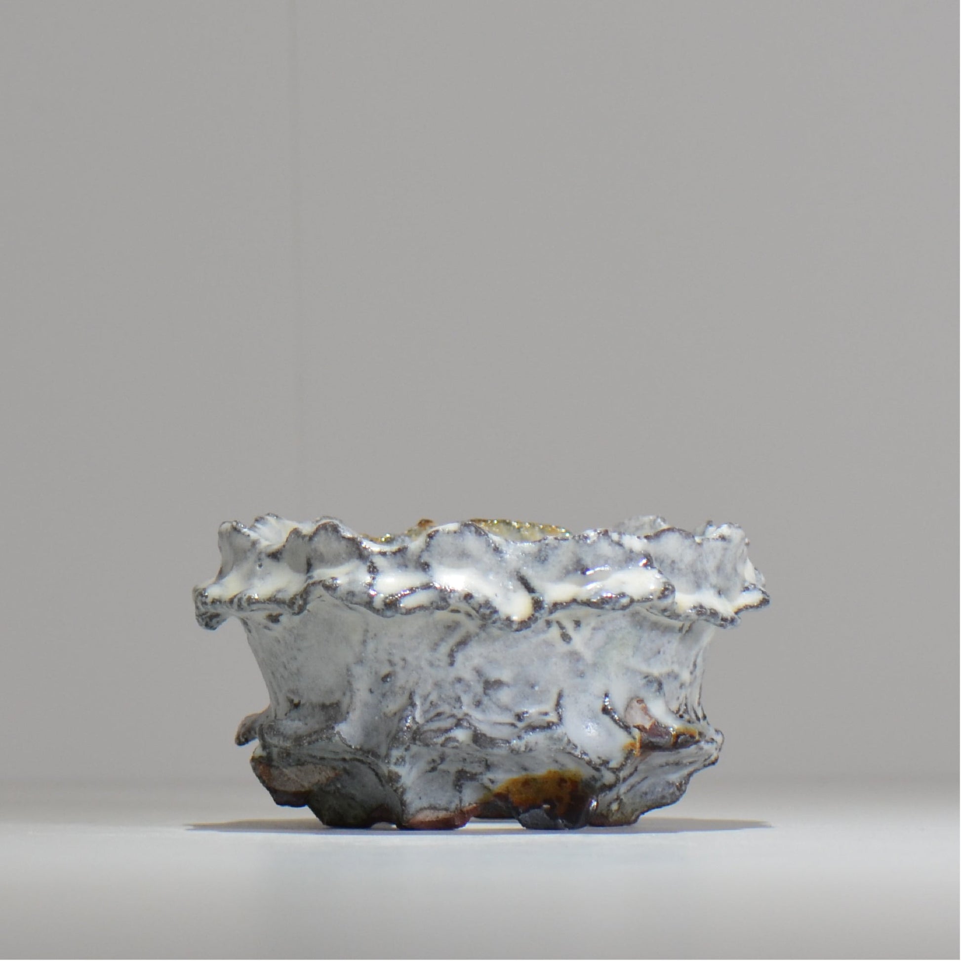 木村 貴史 / SHIOSAI / kt_ss10_s /  約 φ11cm /  植木鉢