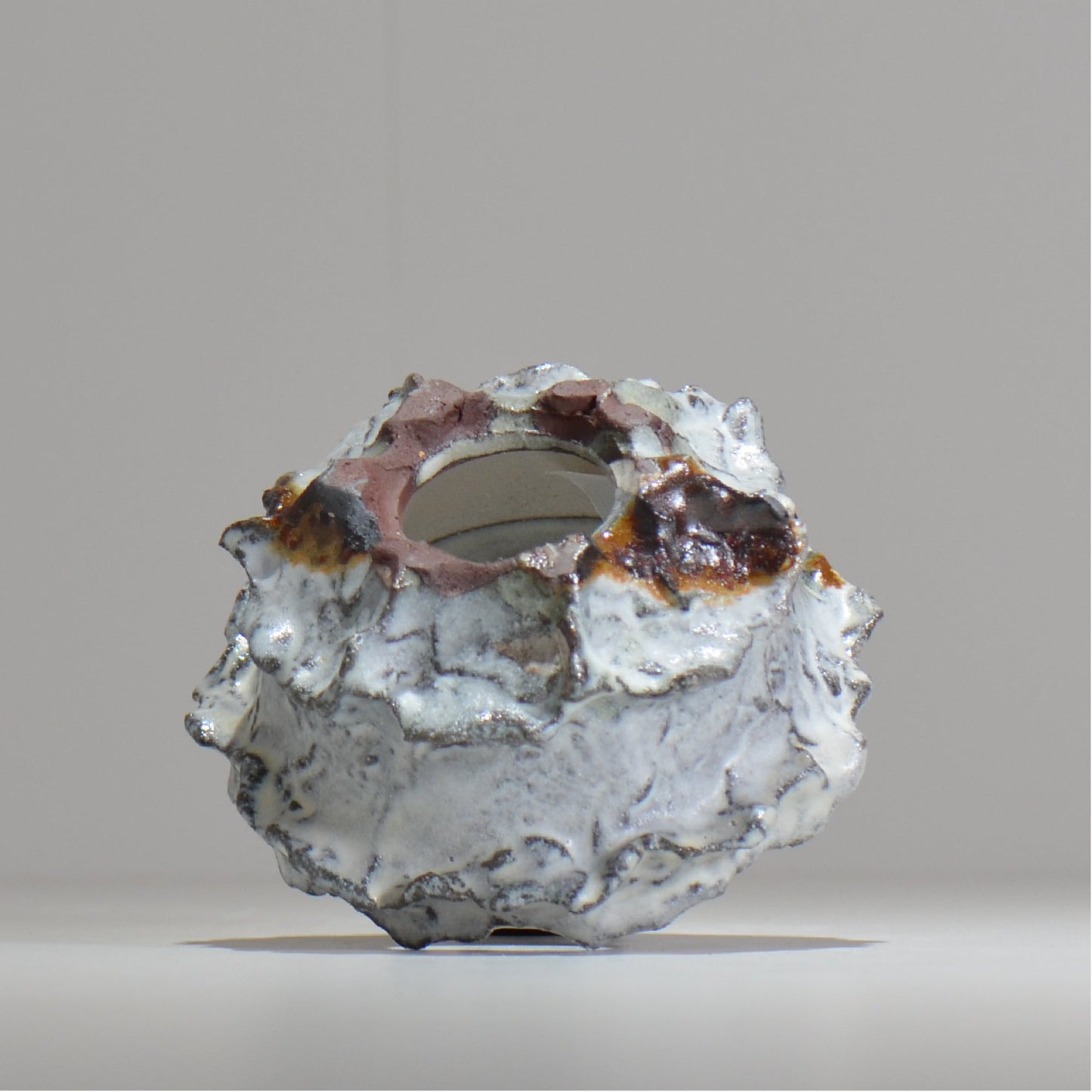 木村 貴史 / SHIOSAI / kt_ss10_s /  約 φ11cm /  植木鉢