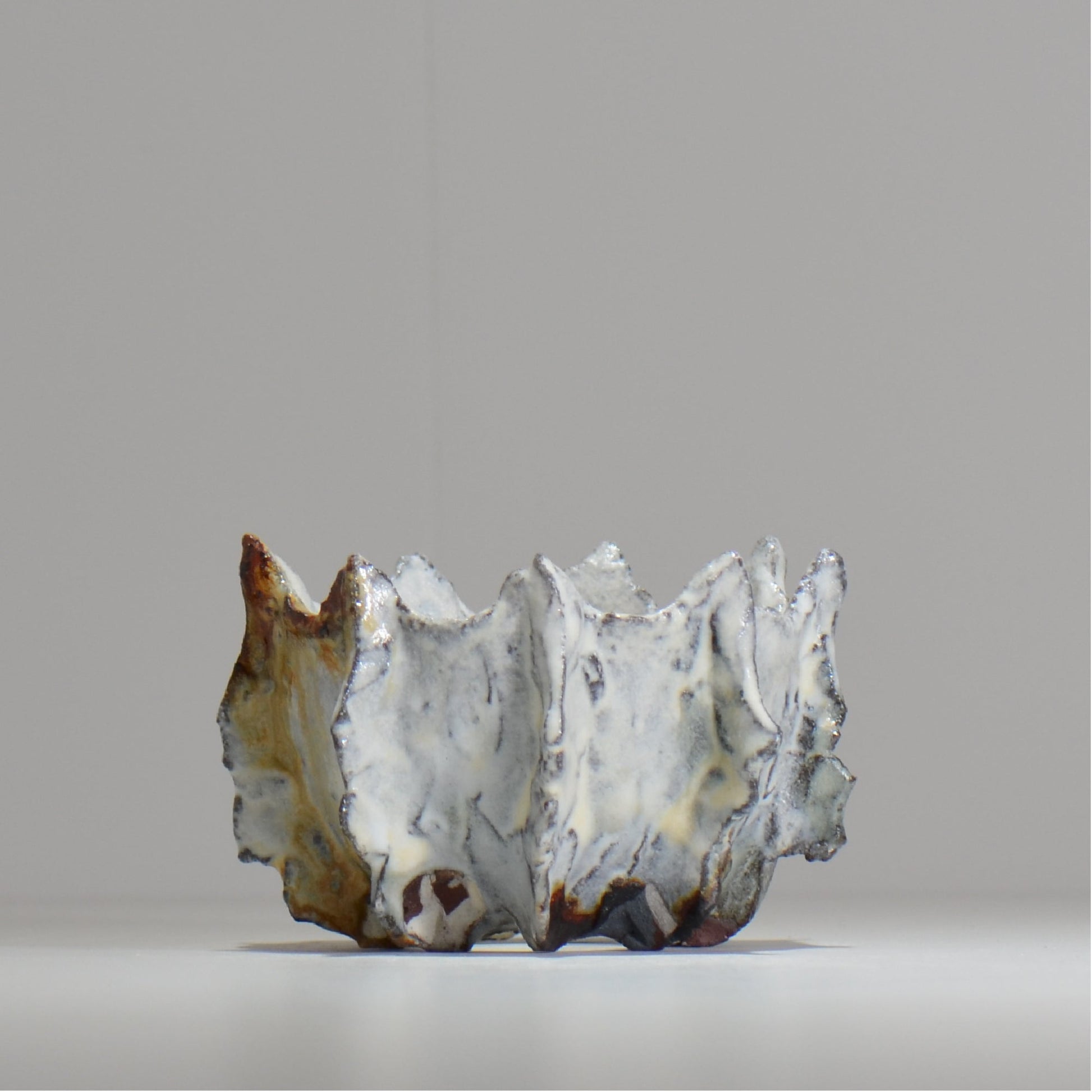 木村 貴史 / SHIOSAI / kt_ss11_s /  約 φ10cm /  植木鉢