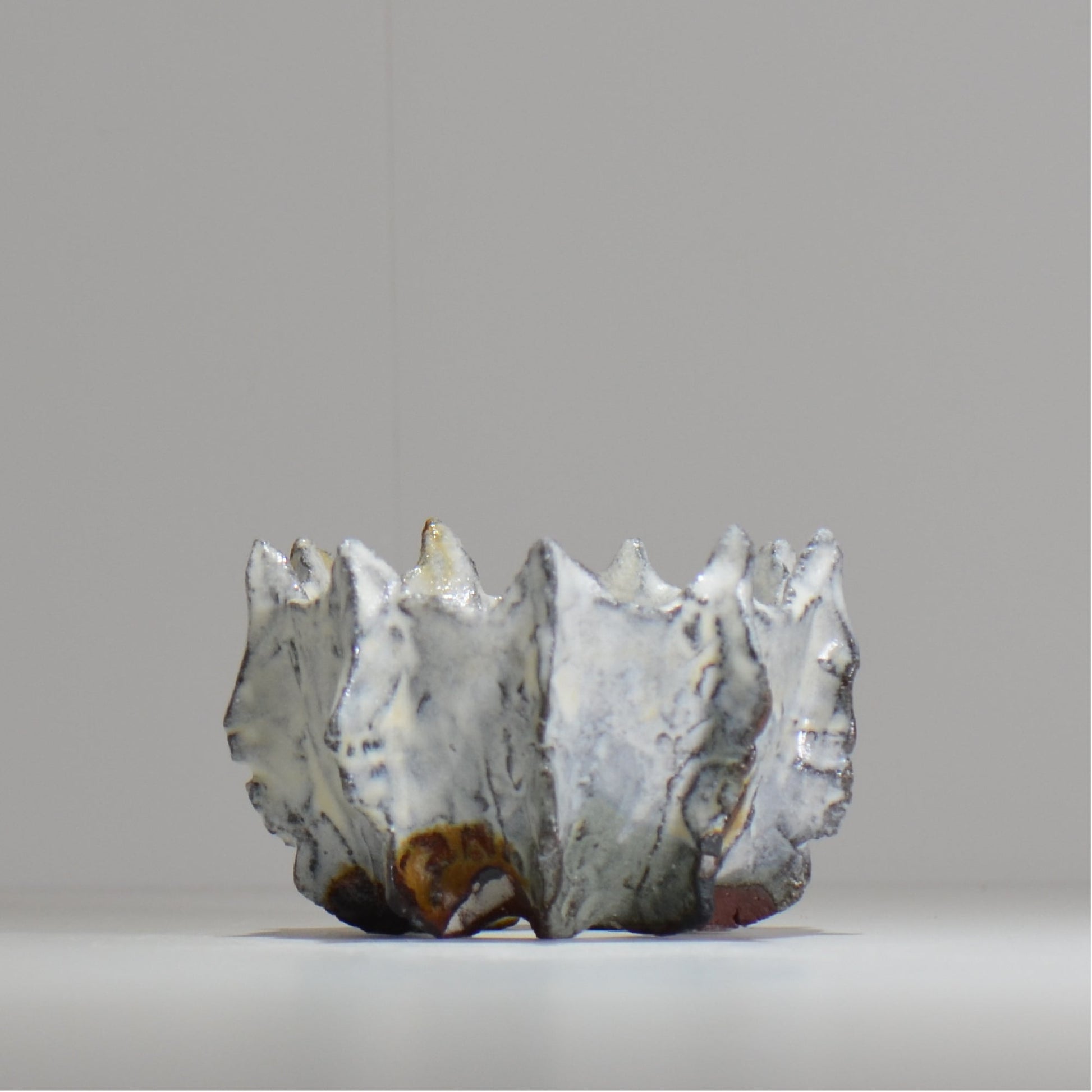 木村 貴史 / SHIOSAI / kt_ss11_s /  約 φ10cm /  植木鉢