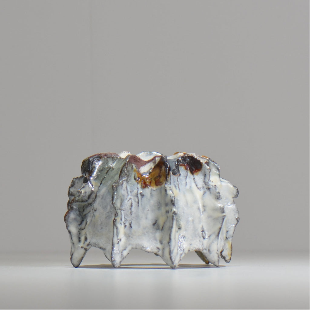 木村 貴史 / SHIOSAI / kt_ss11_s /  約 φ10cm /  植木鉢