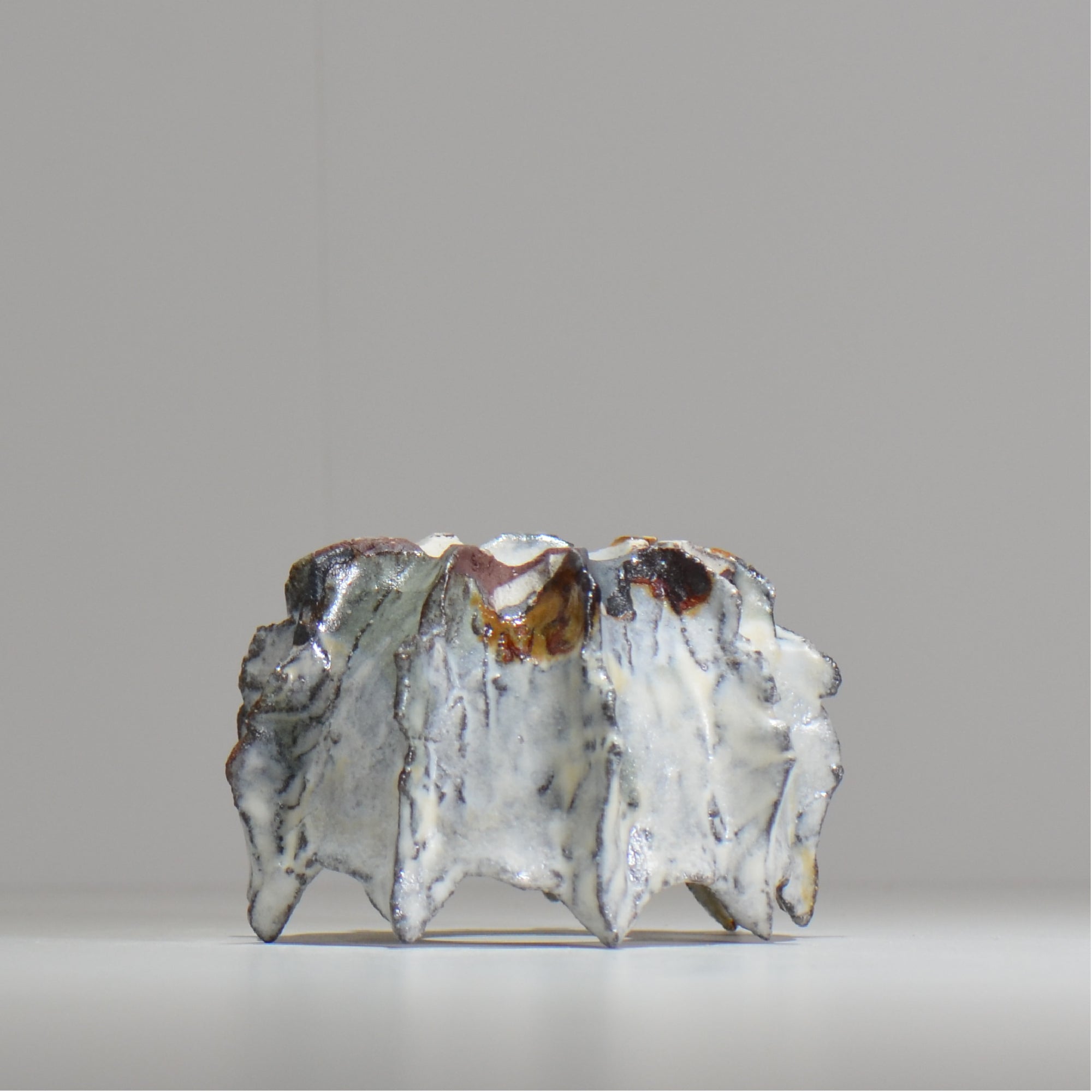 木村 貴史 / SHIOSAI / kt_ss11_s /  約 φ10cm /  植木鉢
