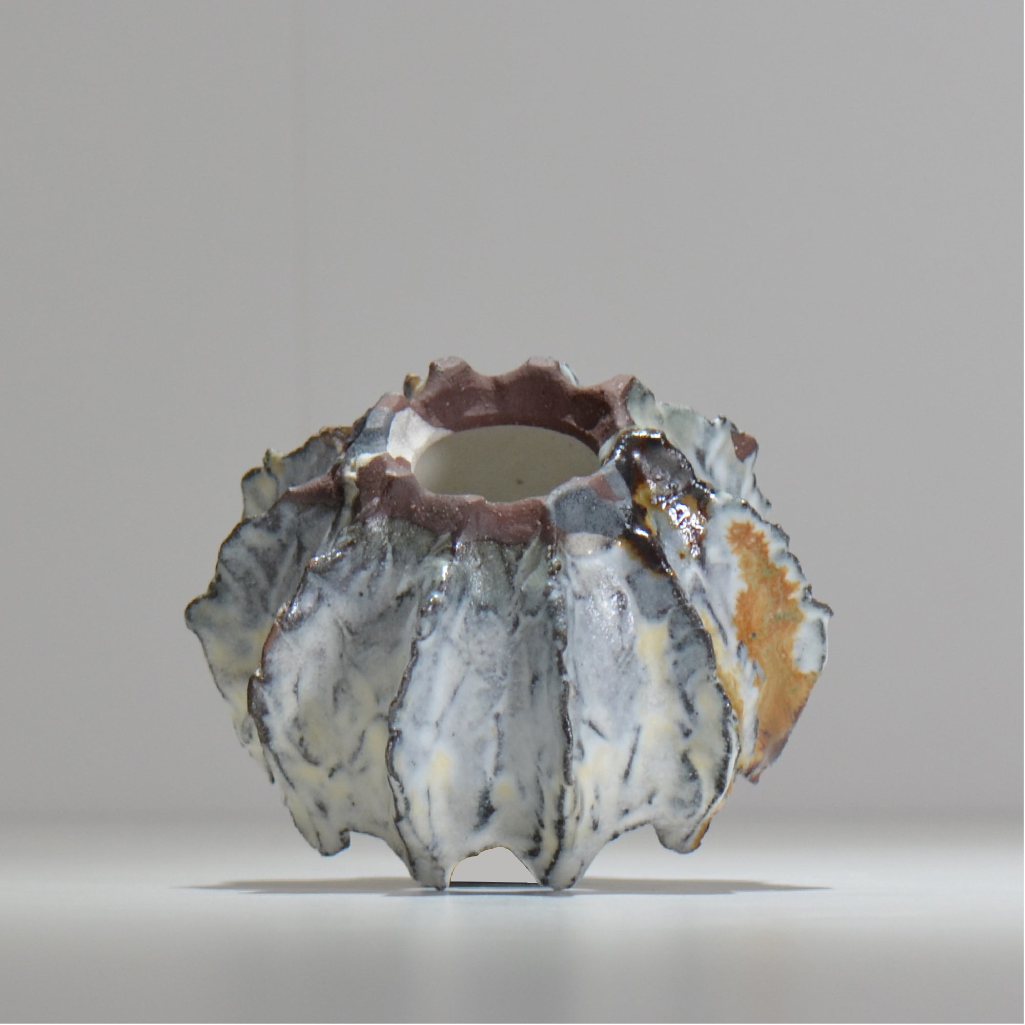 木村 貴史 / SHIOSAI / kt_ss14_s /  約 φ10cm /  植木鉢